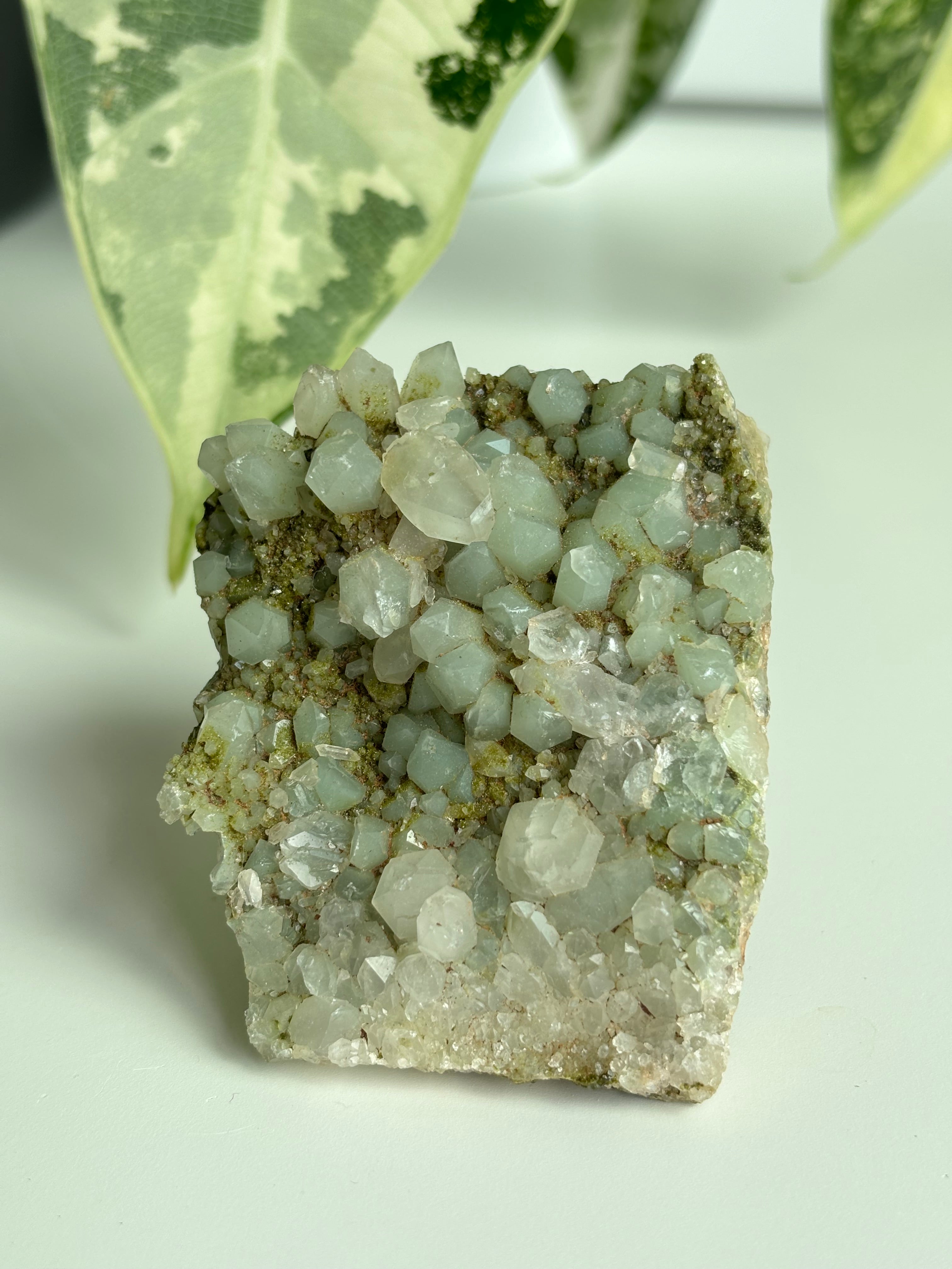 Chlorit Bergkristall mit Epidot (selten) 11