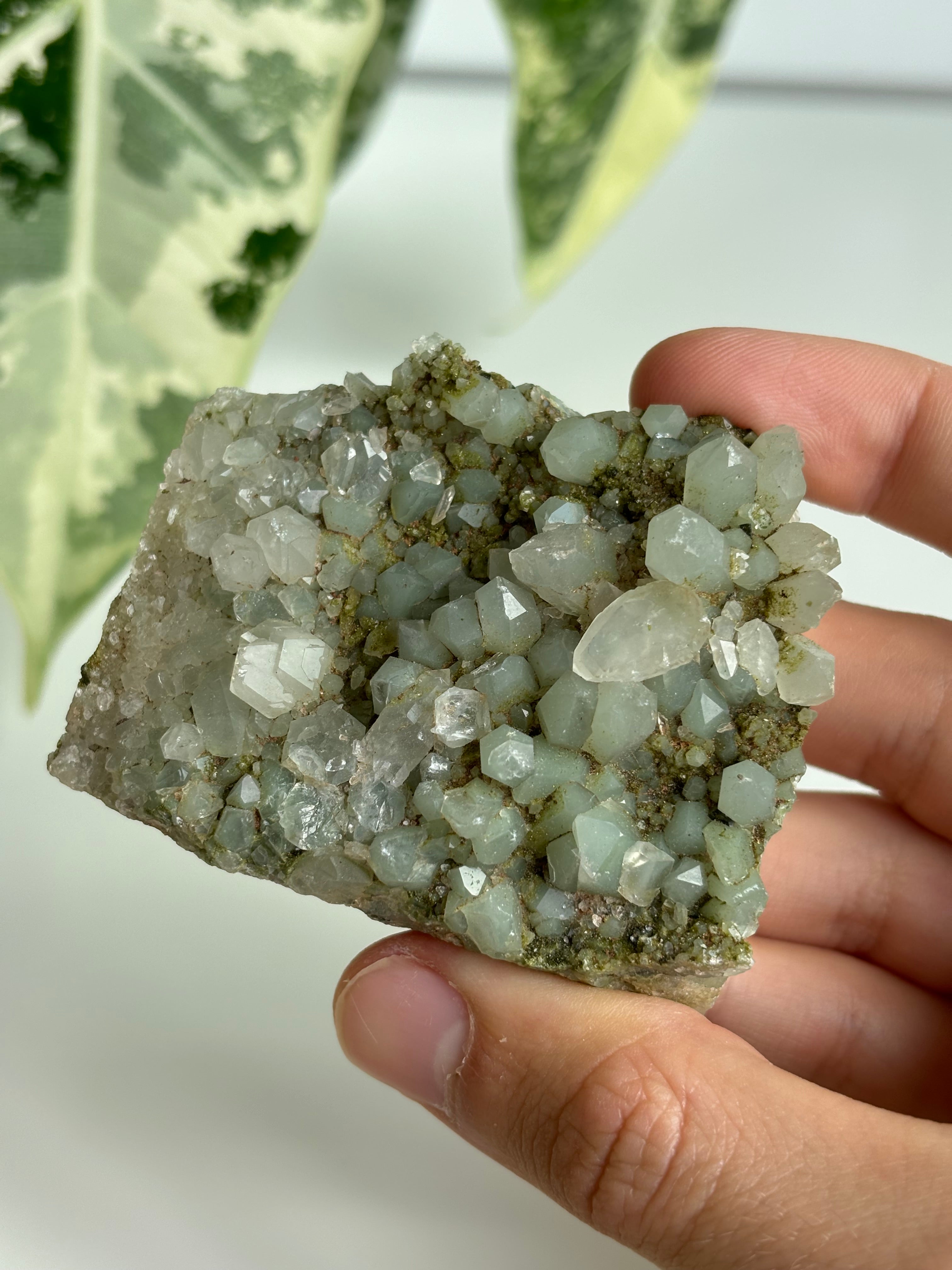 Chlorit Bergkristall mit Epidot (selten) 11