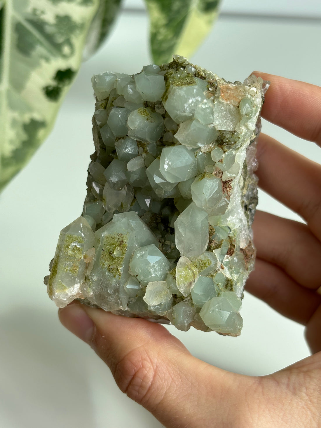 Chlorit Bergkristall mit Epidot (selten) 8