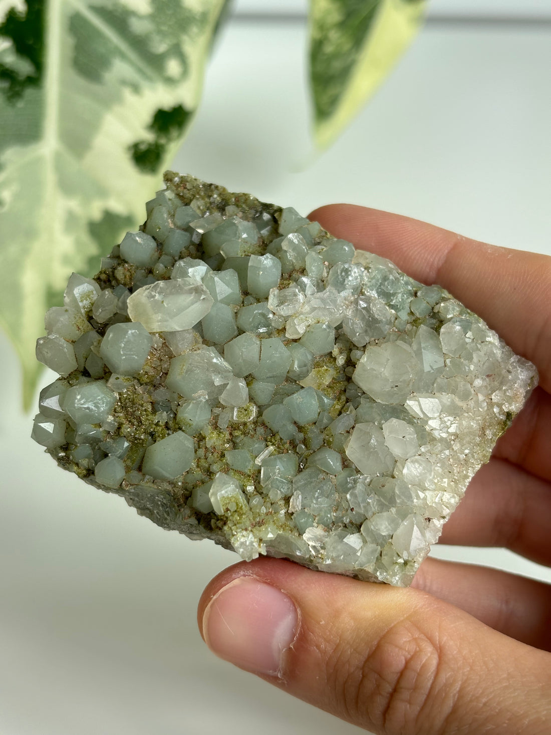 Chlorit Bergkristall mit Epidot (selten) 11