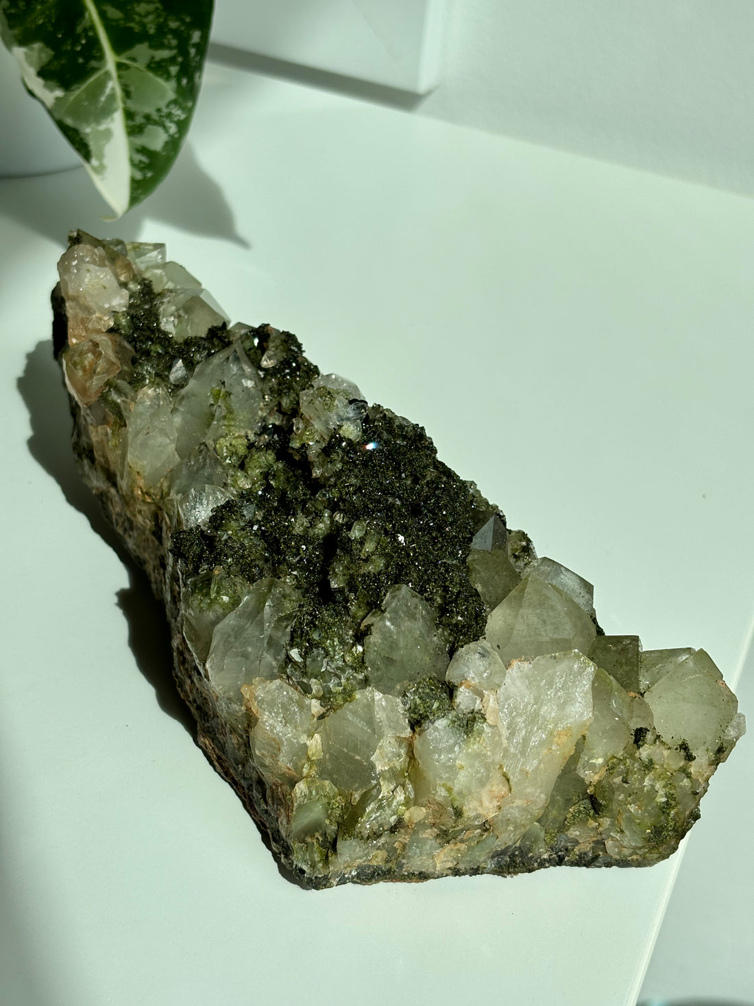 Epidot Quarz "Forest Quartz" High Quality XL