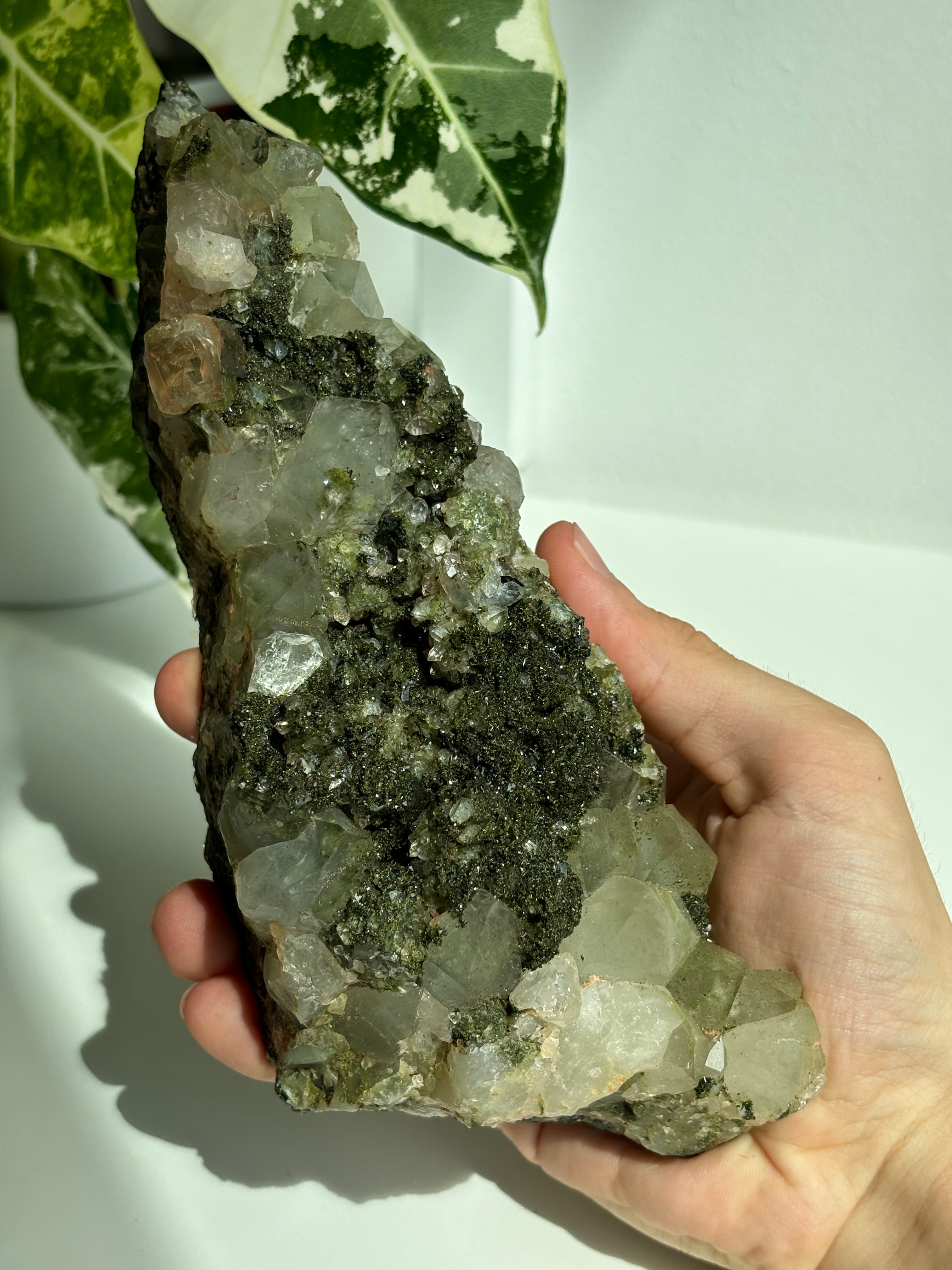 Epidot Quarz "Forest Quartz" High Quality XL