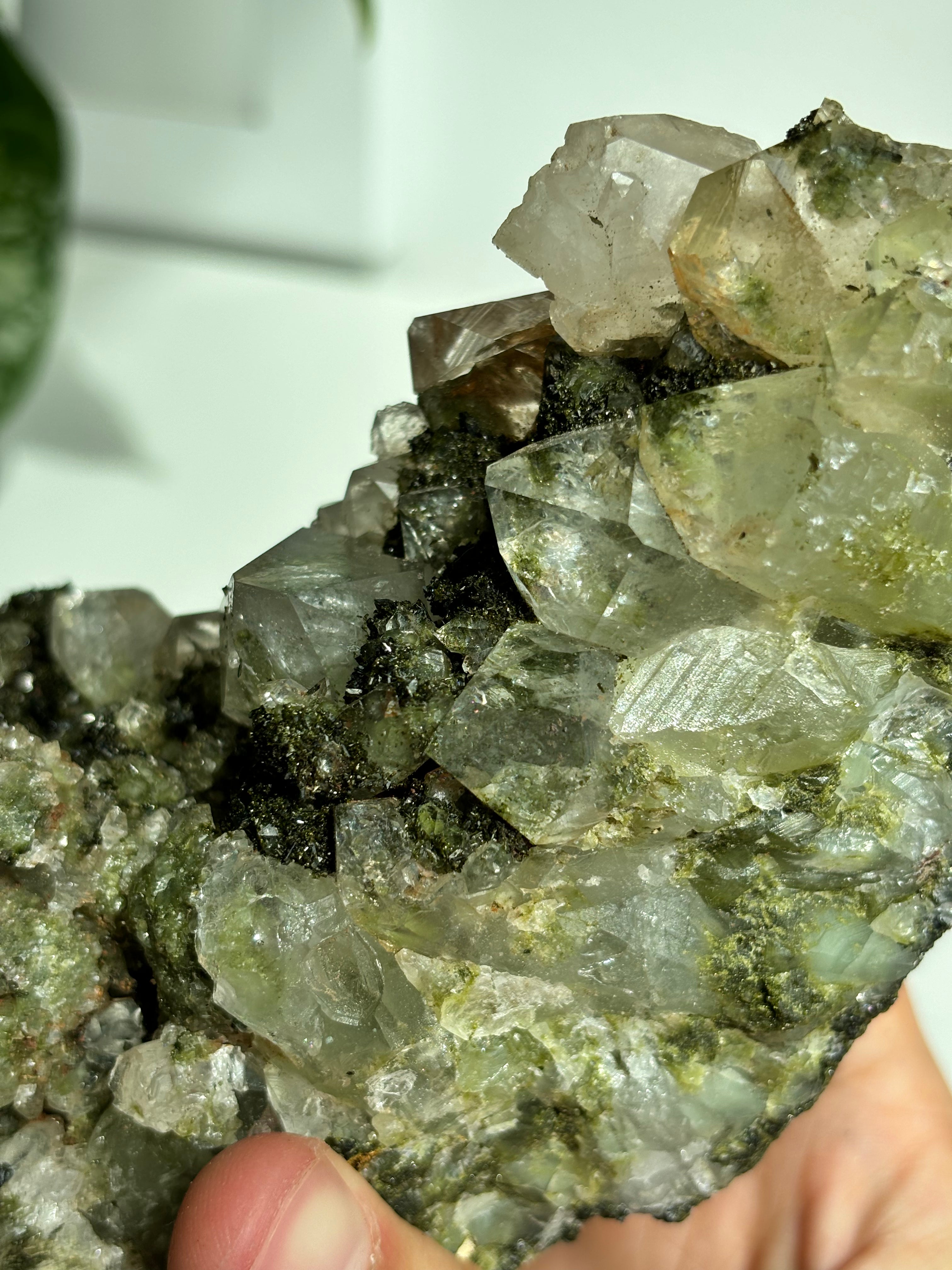 Epidot Quarz "Forest Quartz" High Quality XL
