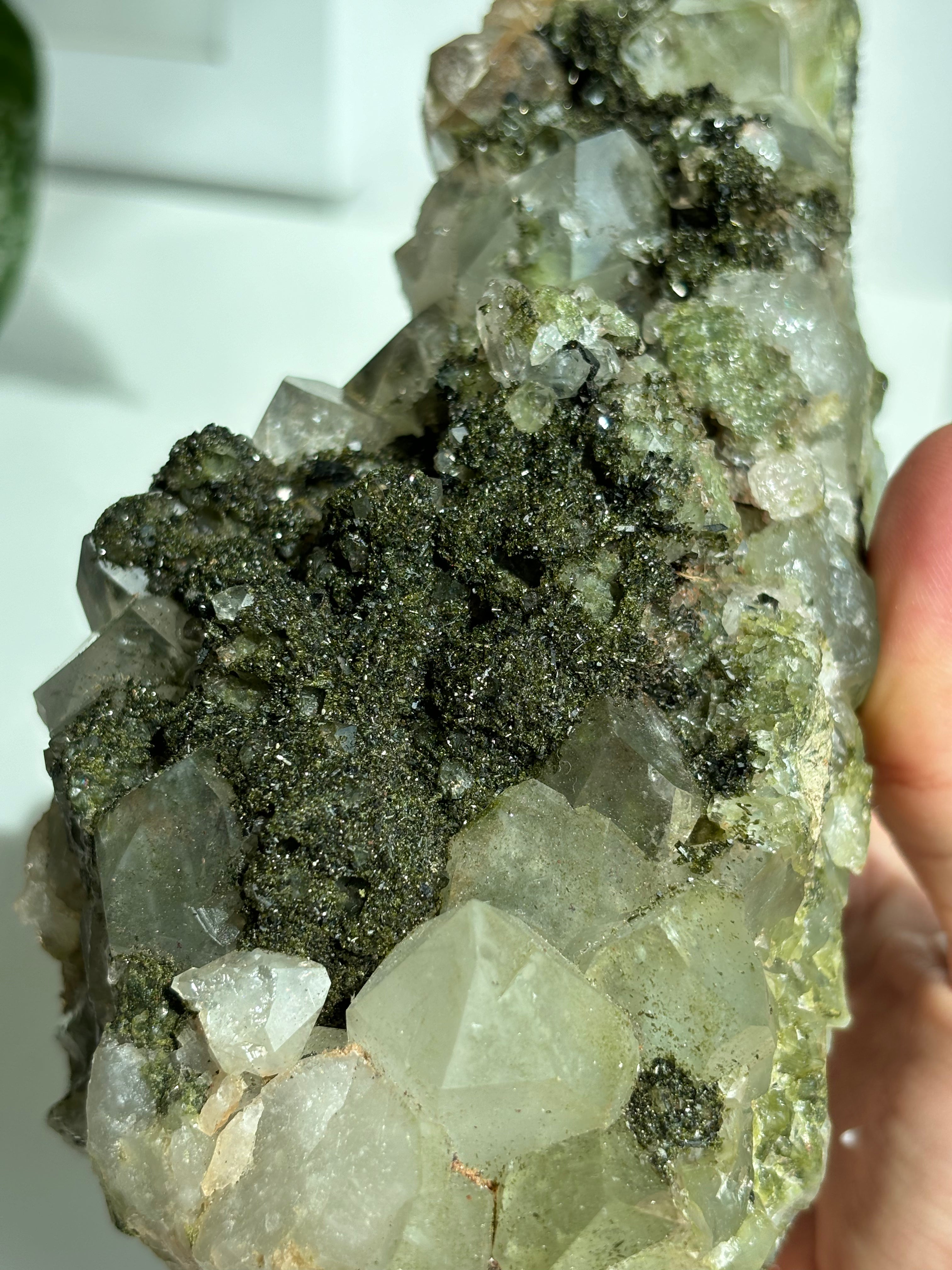 Epidot Quarz "Forest Quartz" High Quality XL