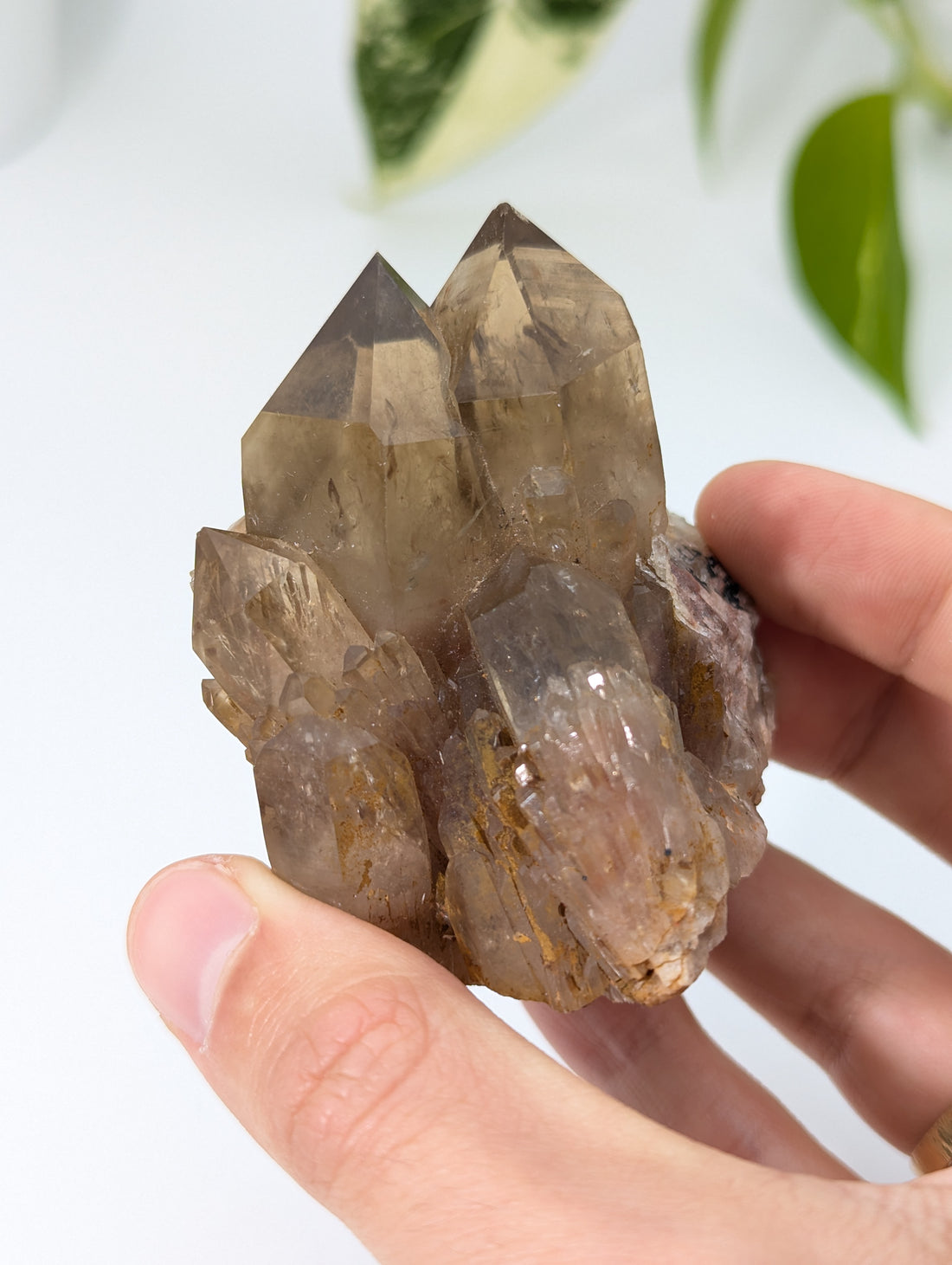 Kundalini Citrin selbst stehend