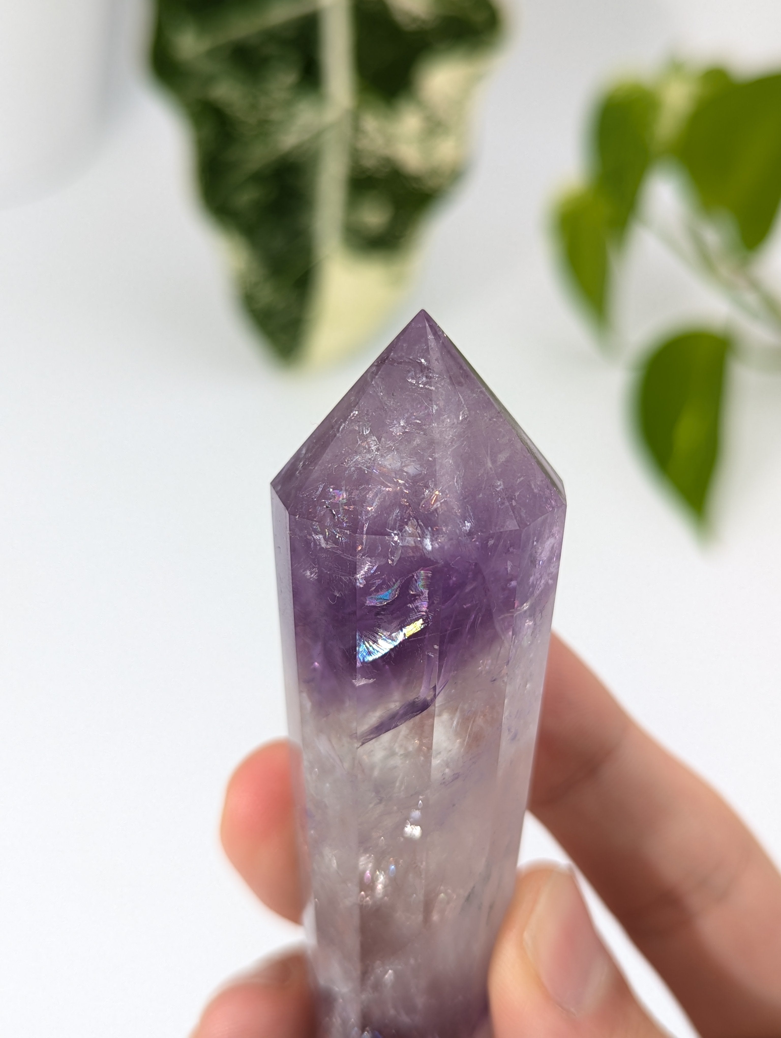 Amethyst Vogel Kristall mit Phantom 76v