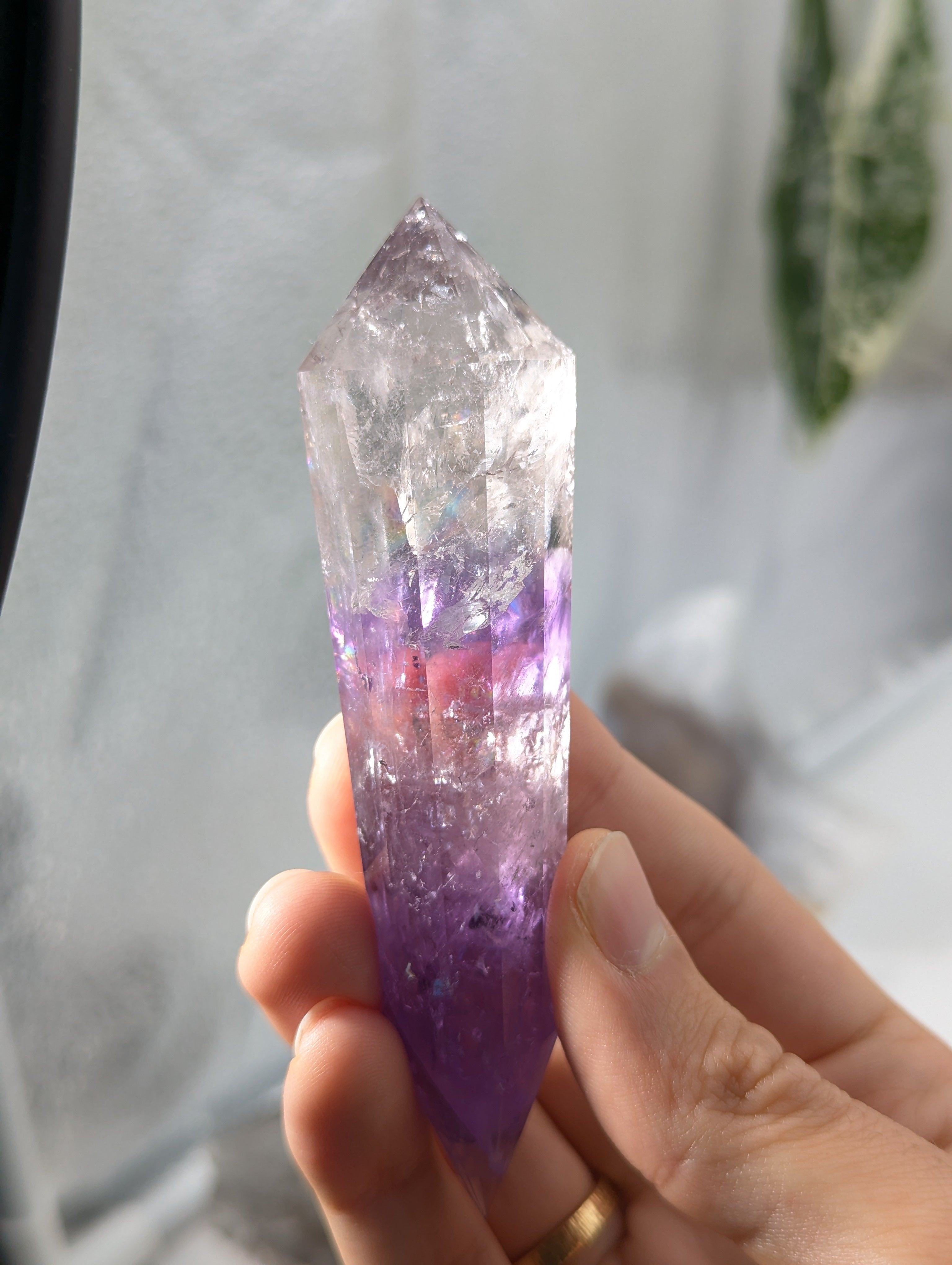 Amethyst Vogel Kristall mit Phantom 69v