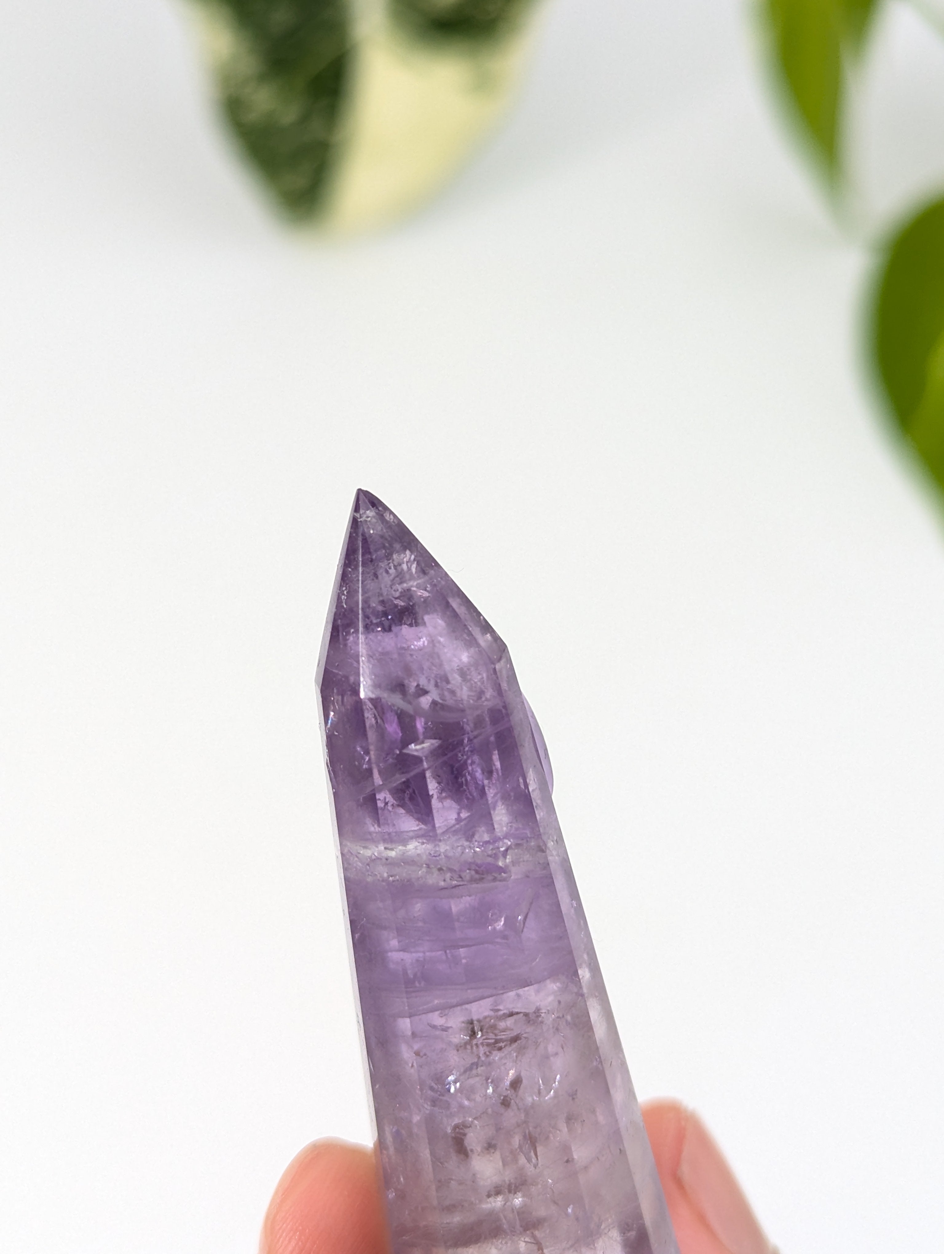 Amethyst Vogel Kristall mit Phantom 45v