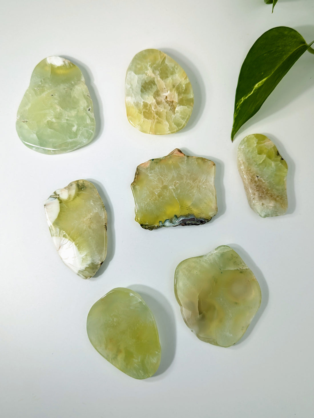 polierte Prehnit Scheiben aus Australien