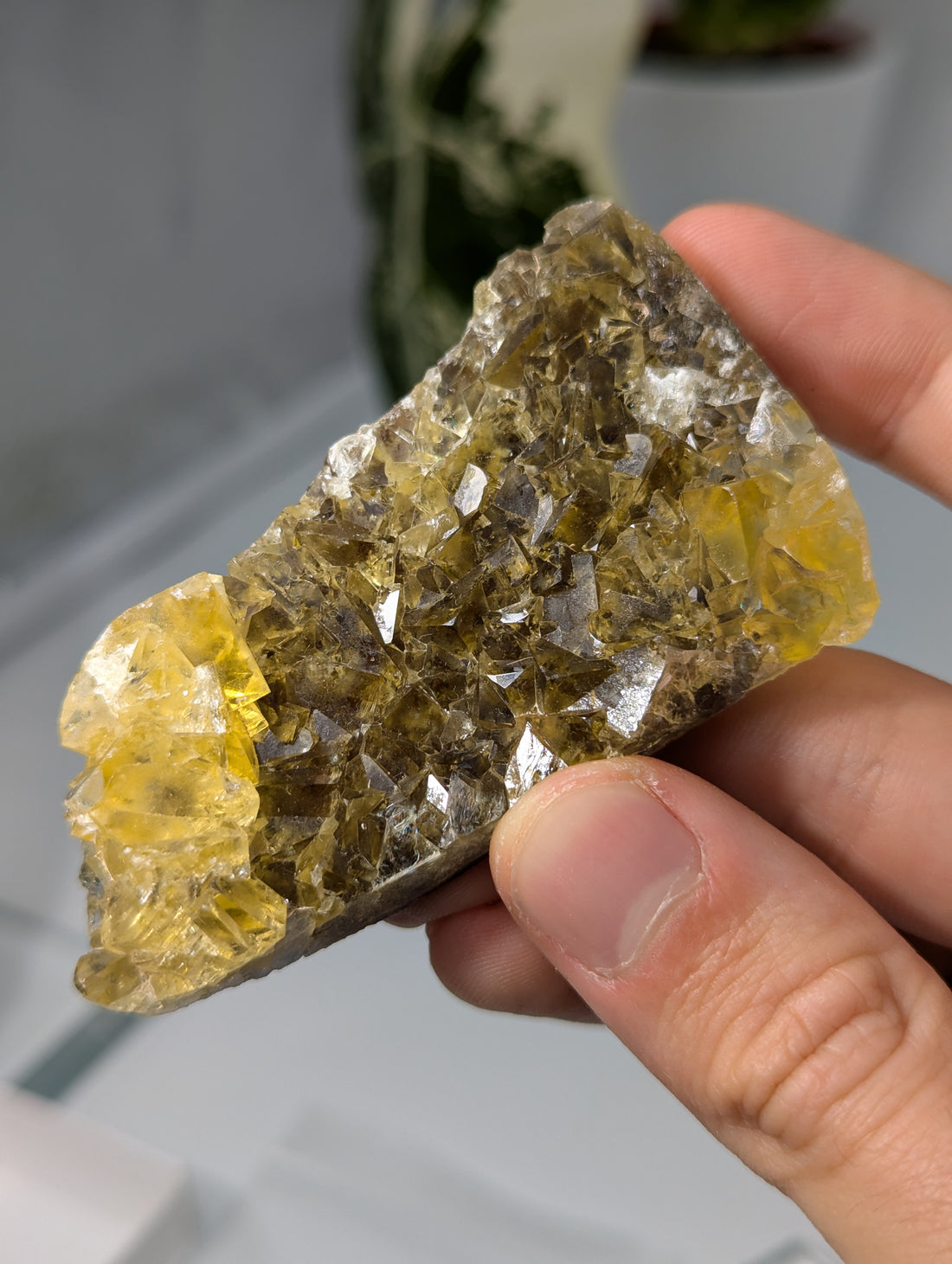 Okorusu Fluorit gelb groß aus Namibia