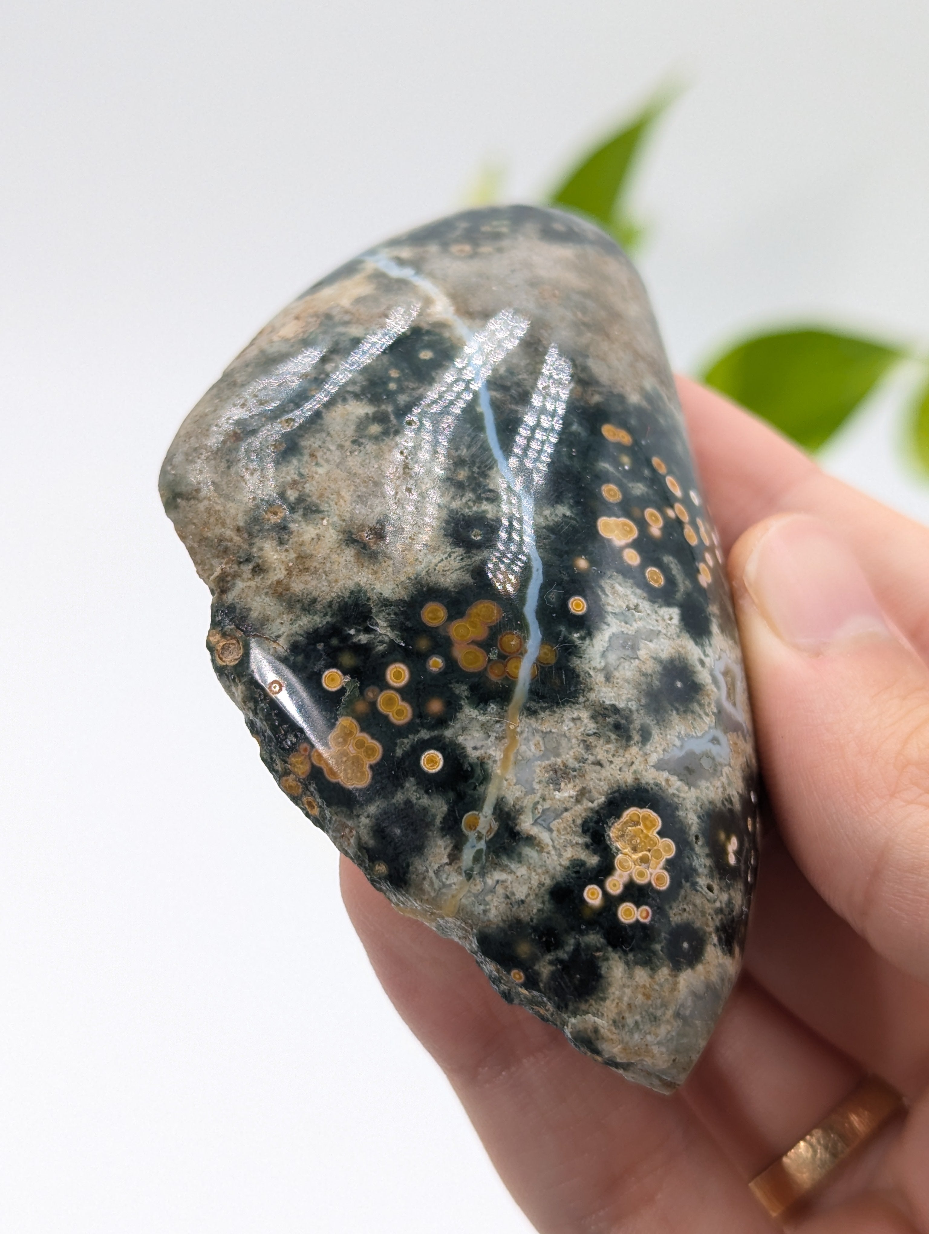 Ozeanjaspis Anschliff (Old Stock) 8cm