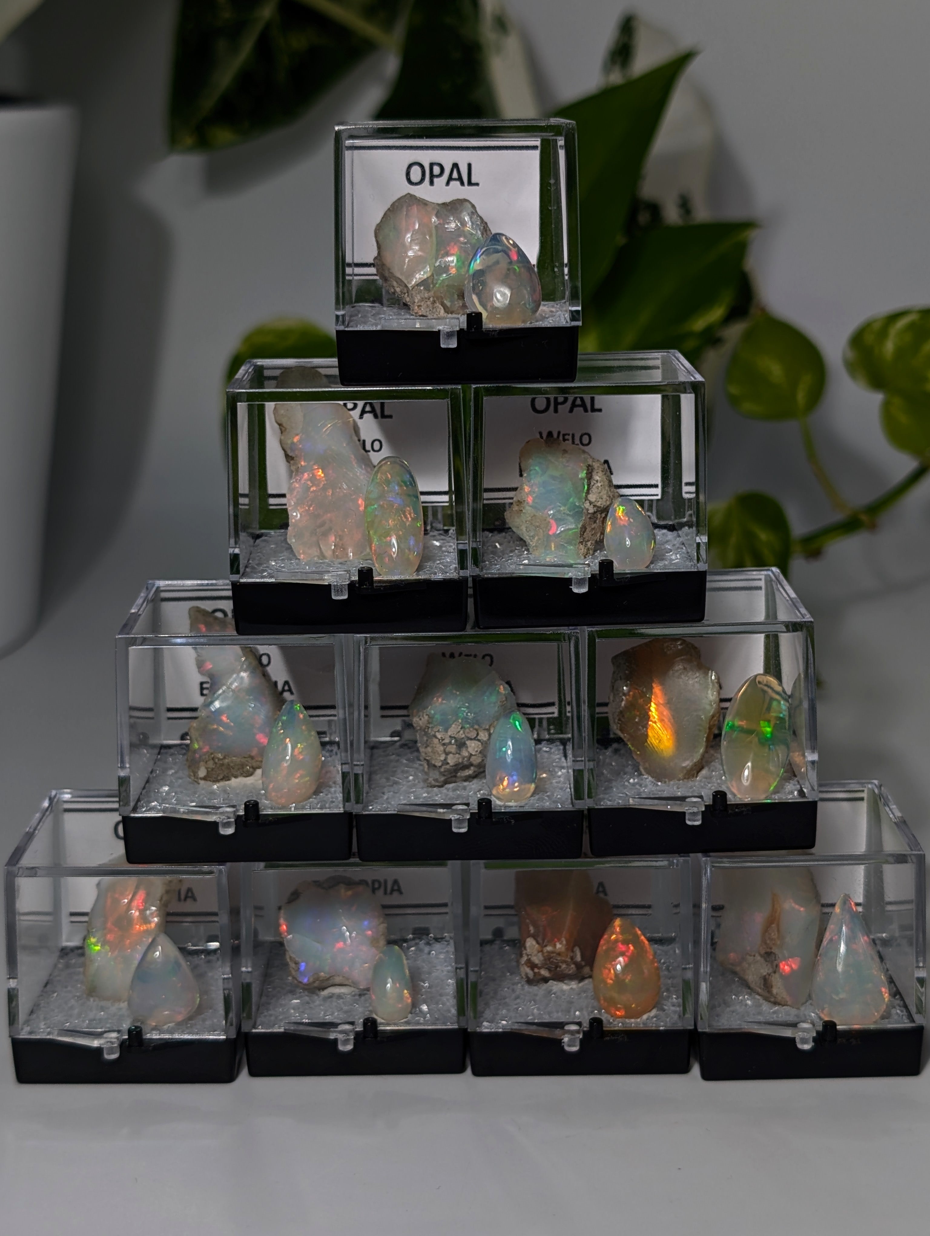 Welo Opal Set "mini Museum" V