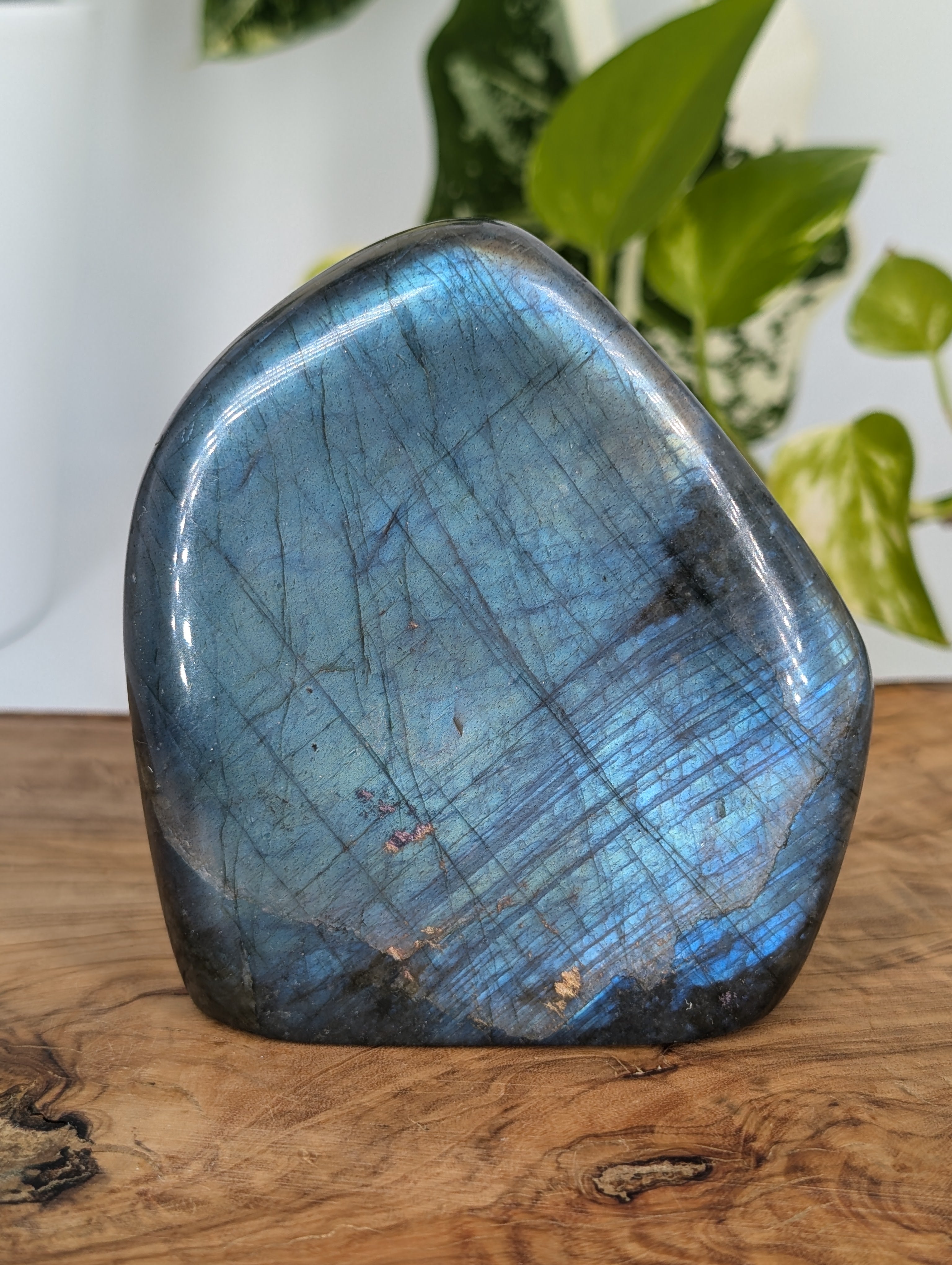 Labradorit Freiform mit tollem Flash