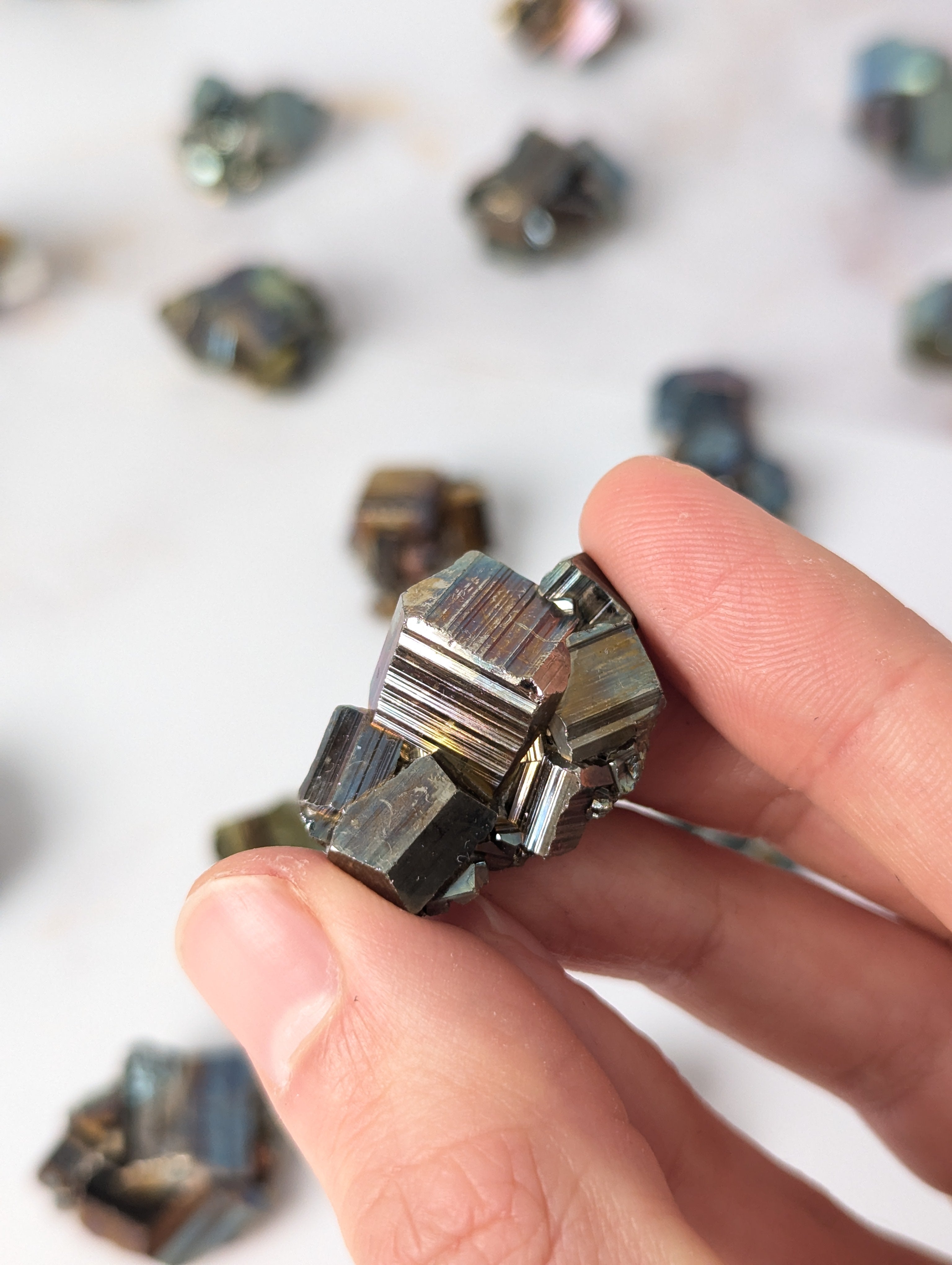 kleine natürlich Irisierende Pyrite