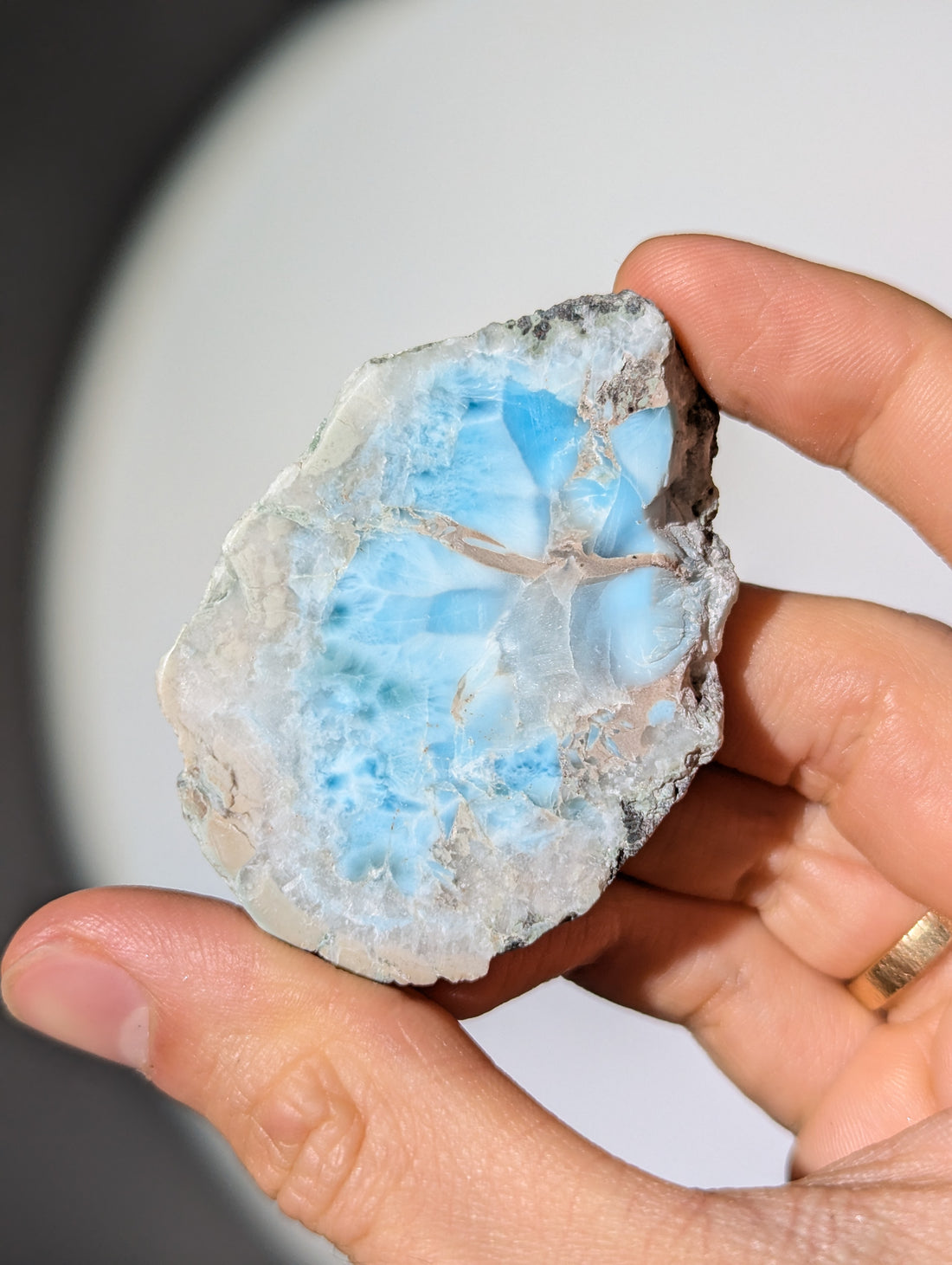Larimar Scheibe