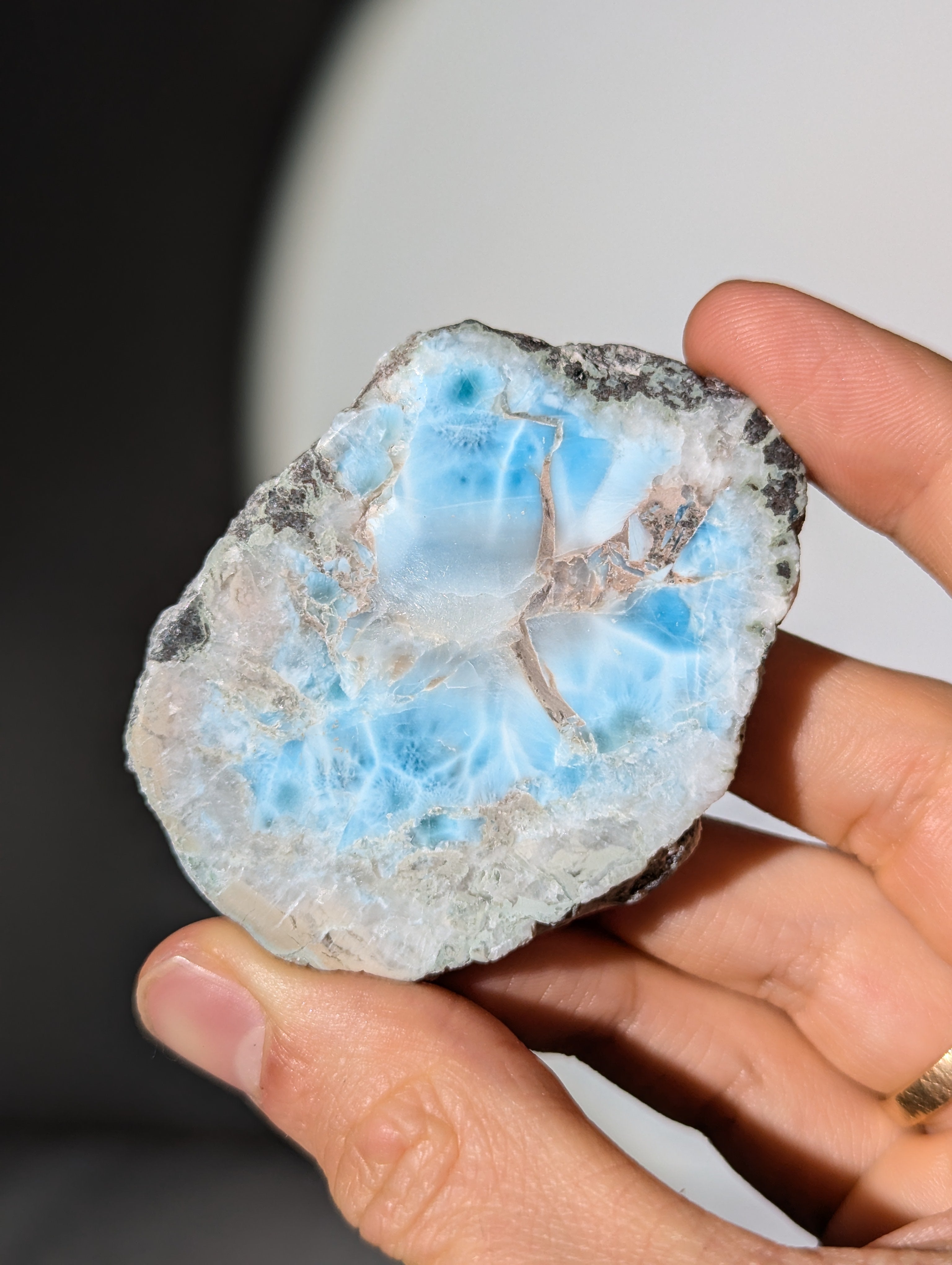 Larimar Scheibe