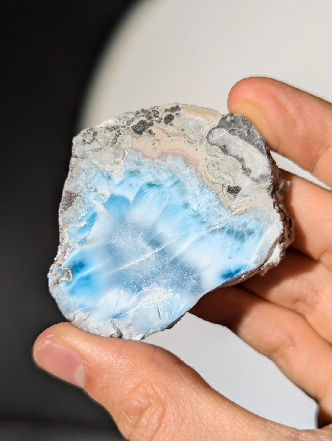 Larimar Scheibe