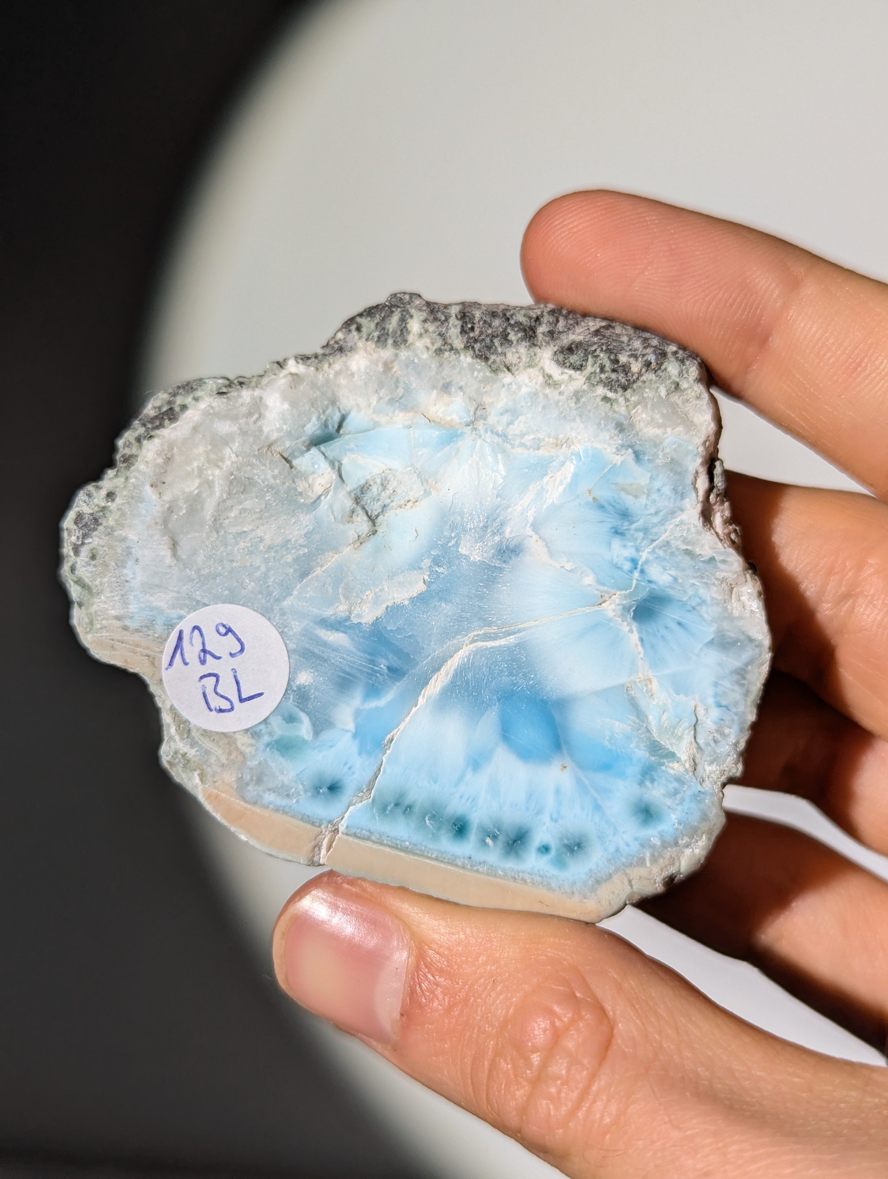 Larimar Scheibe