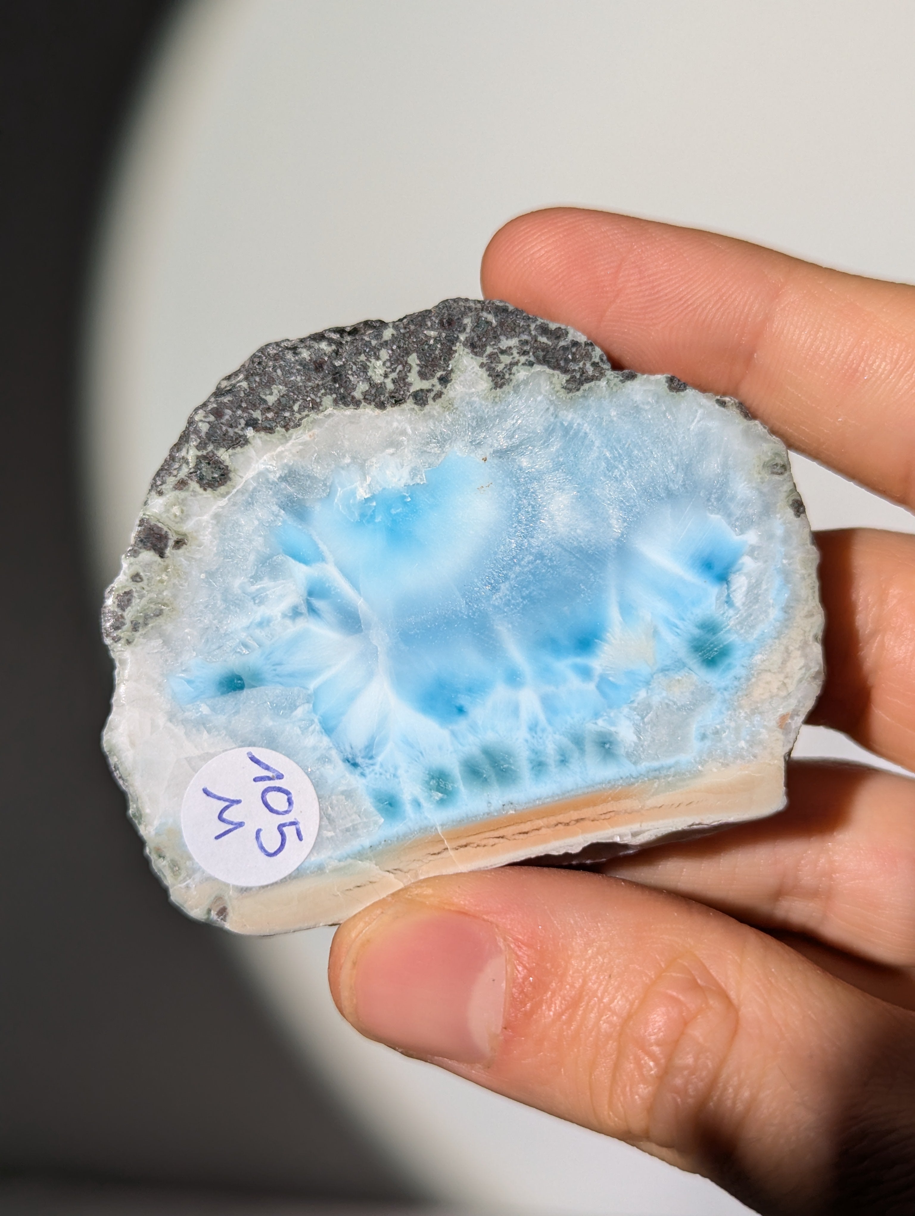 Larimar Scheibe