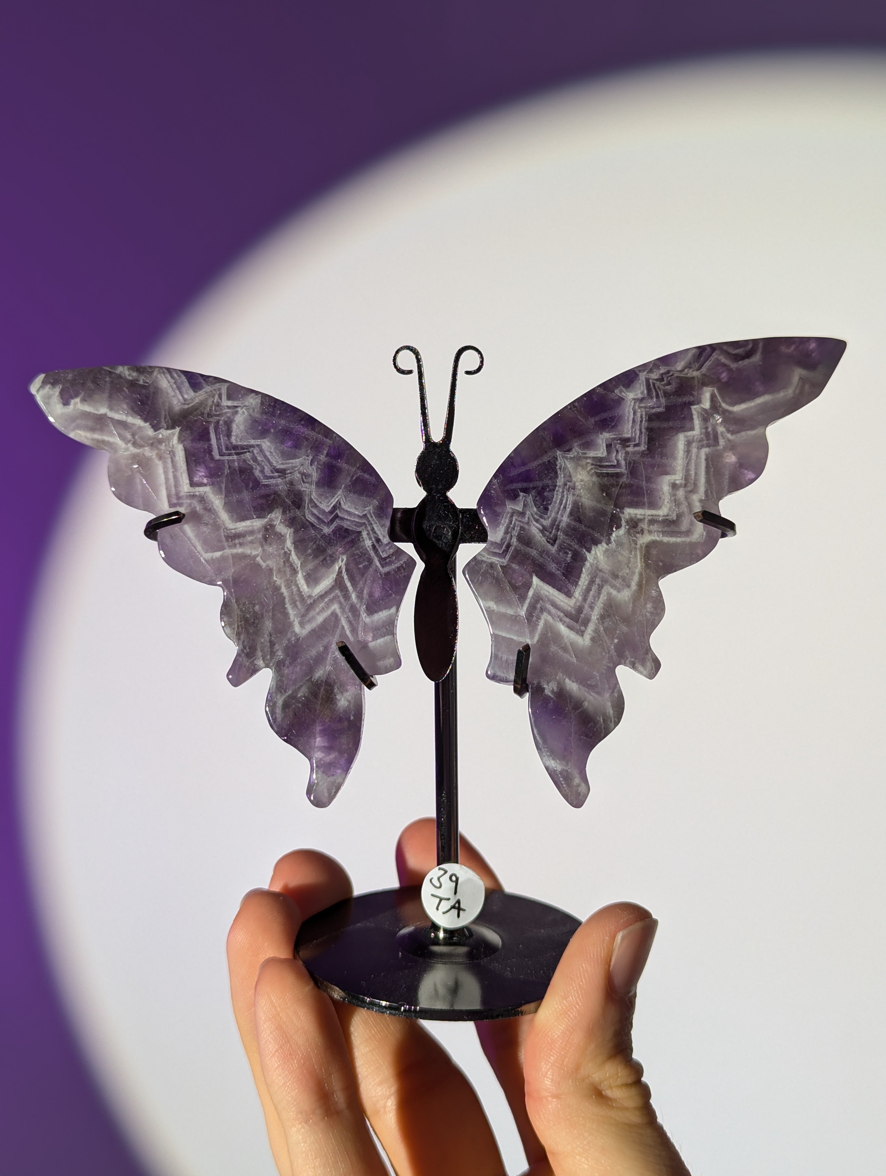 Amethyst Schmetterling ๐ฆ๐
