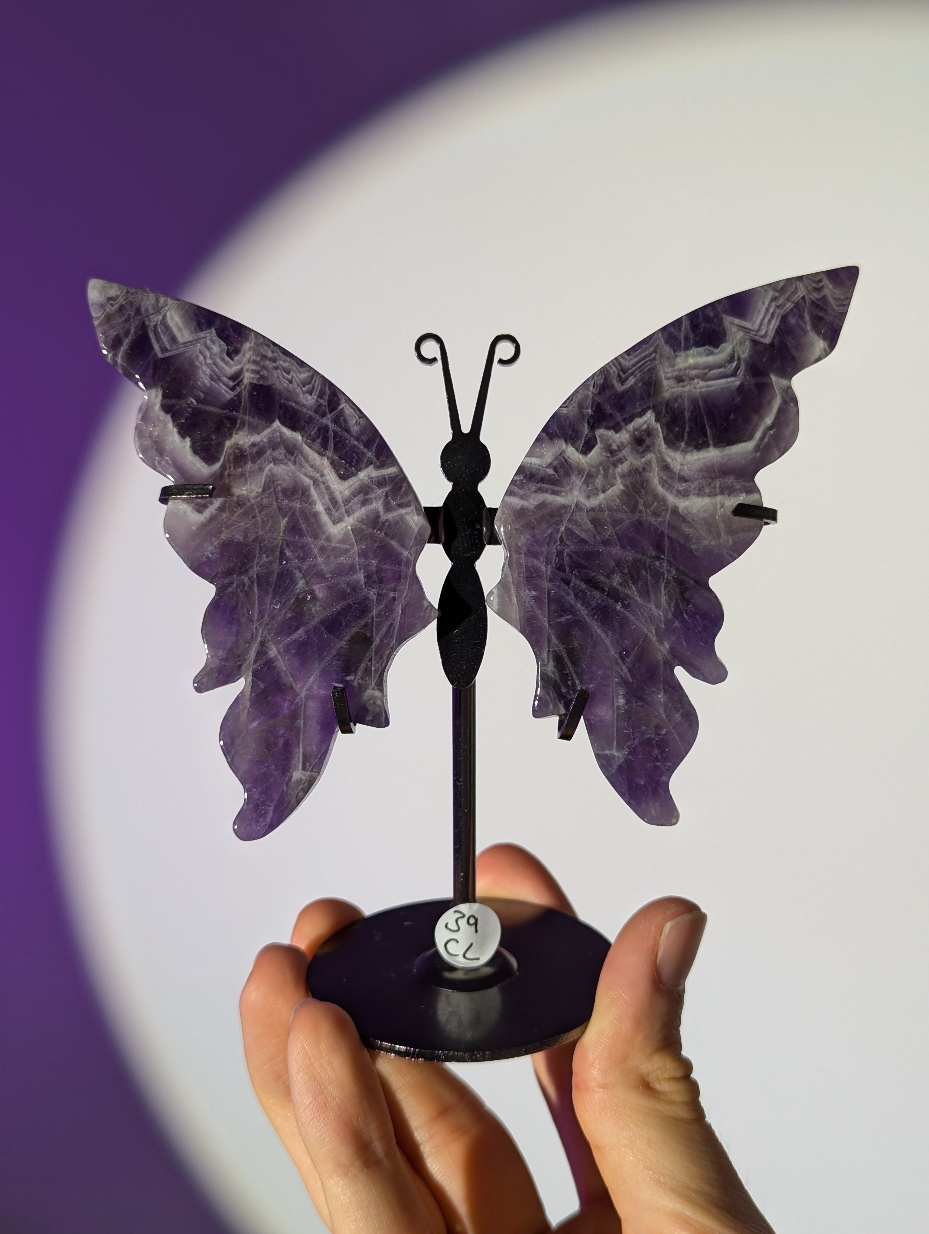 Amethyst Schmetterling ๐ฆ๐