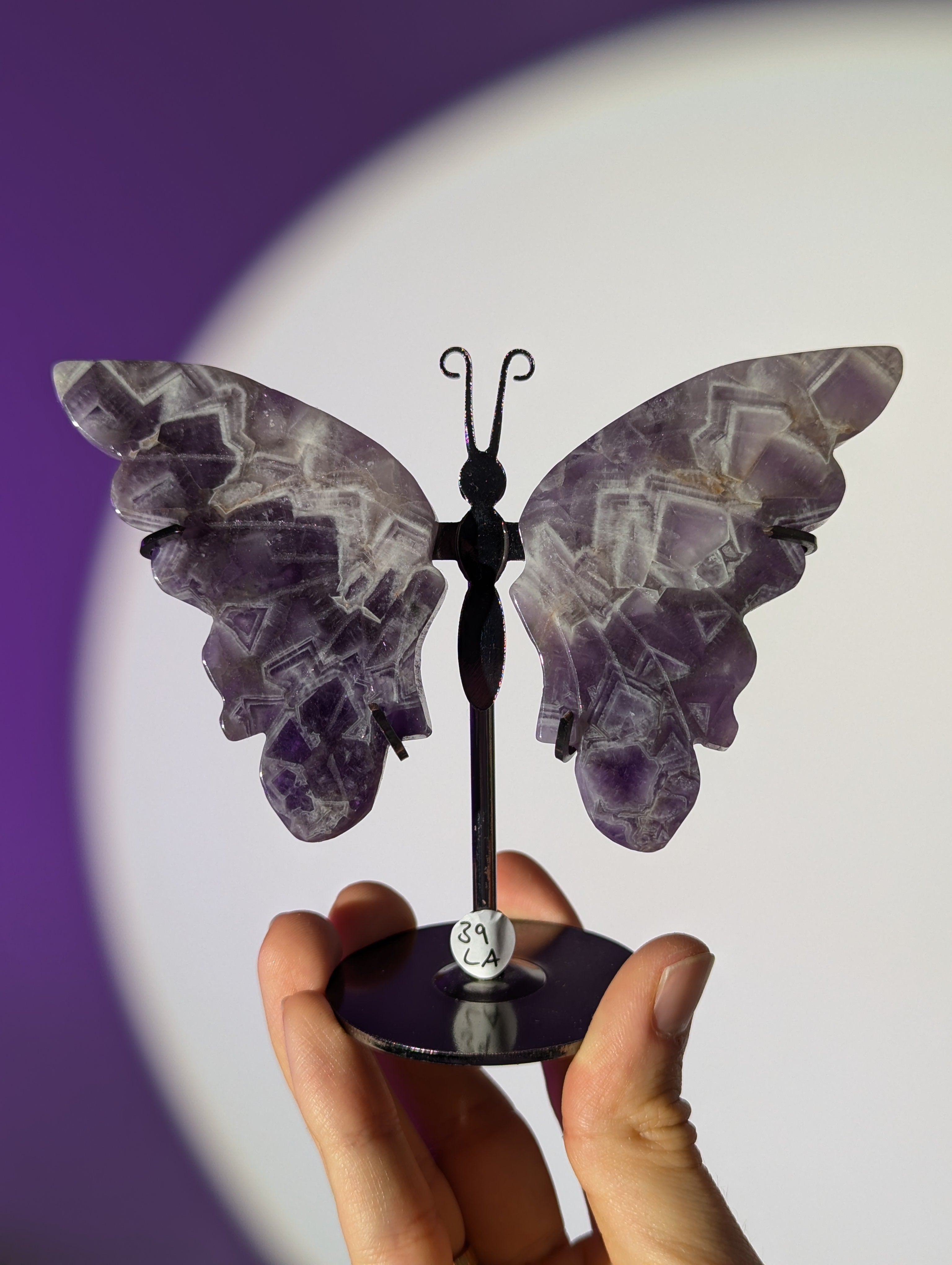 Amethyst Schmetterling ๐ฆ๐