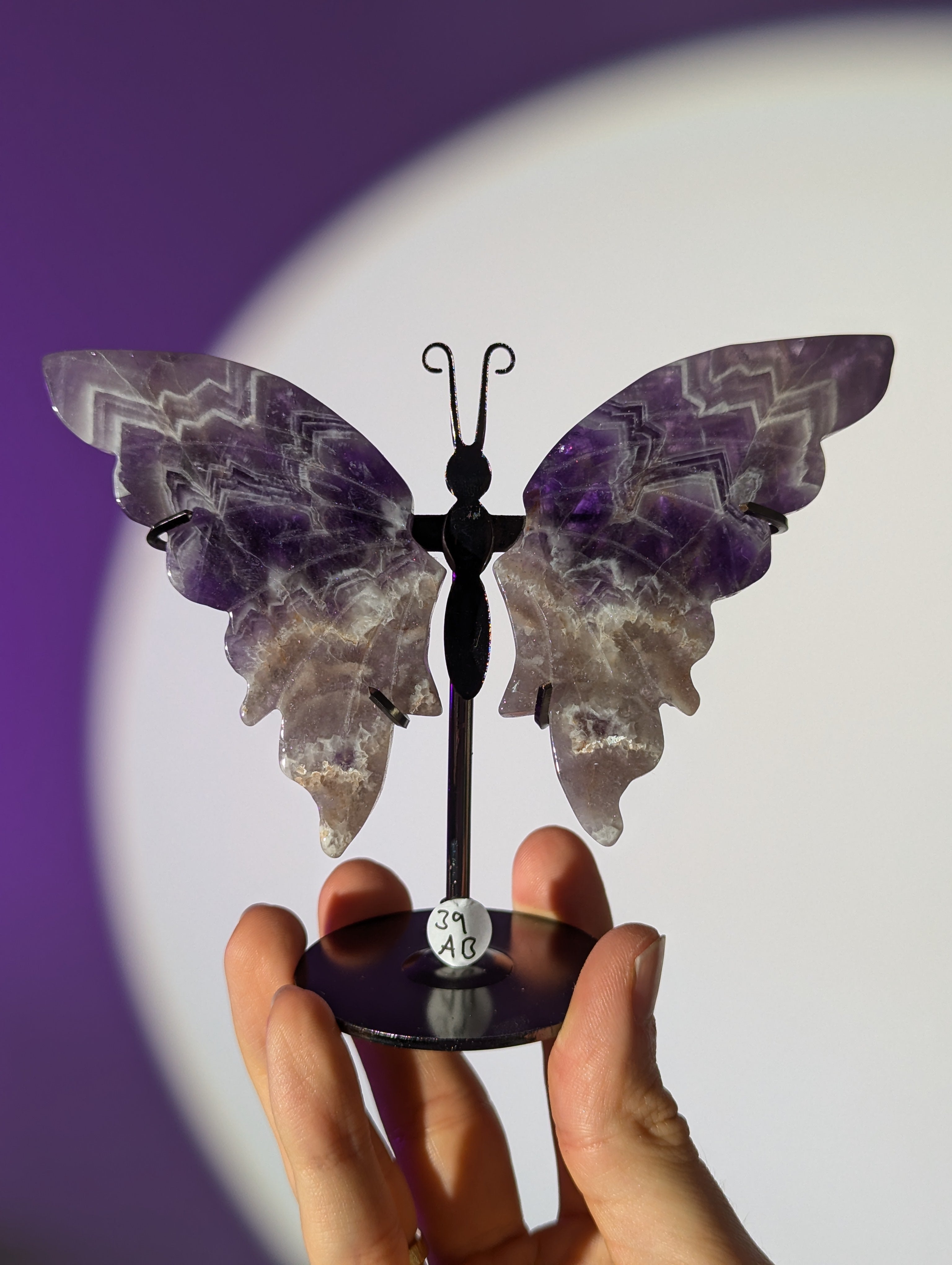 Amethyst Schmetterling ๐ฆ๐