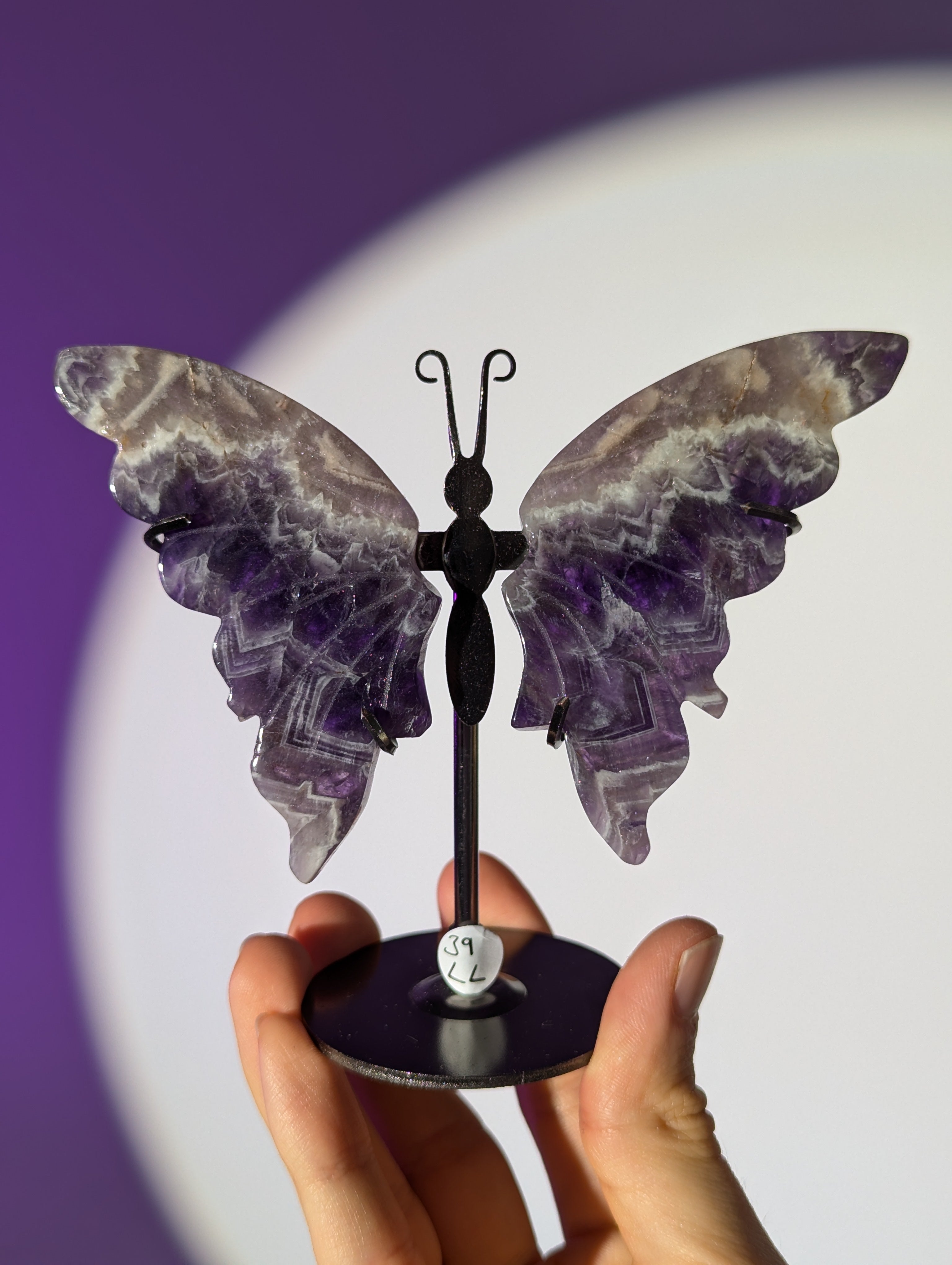 Amethyst Schmetterling ๐ฆ๐