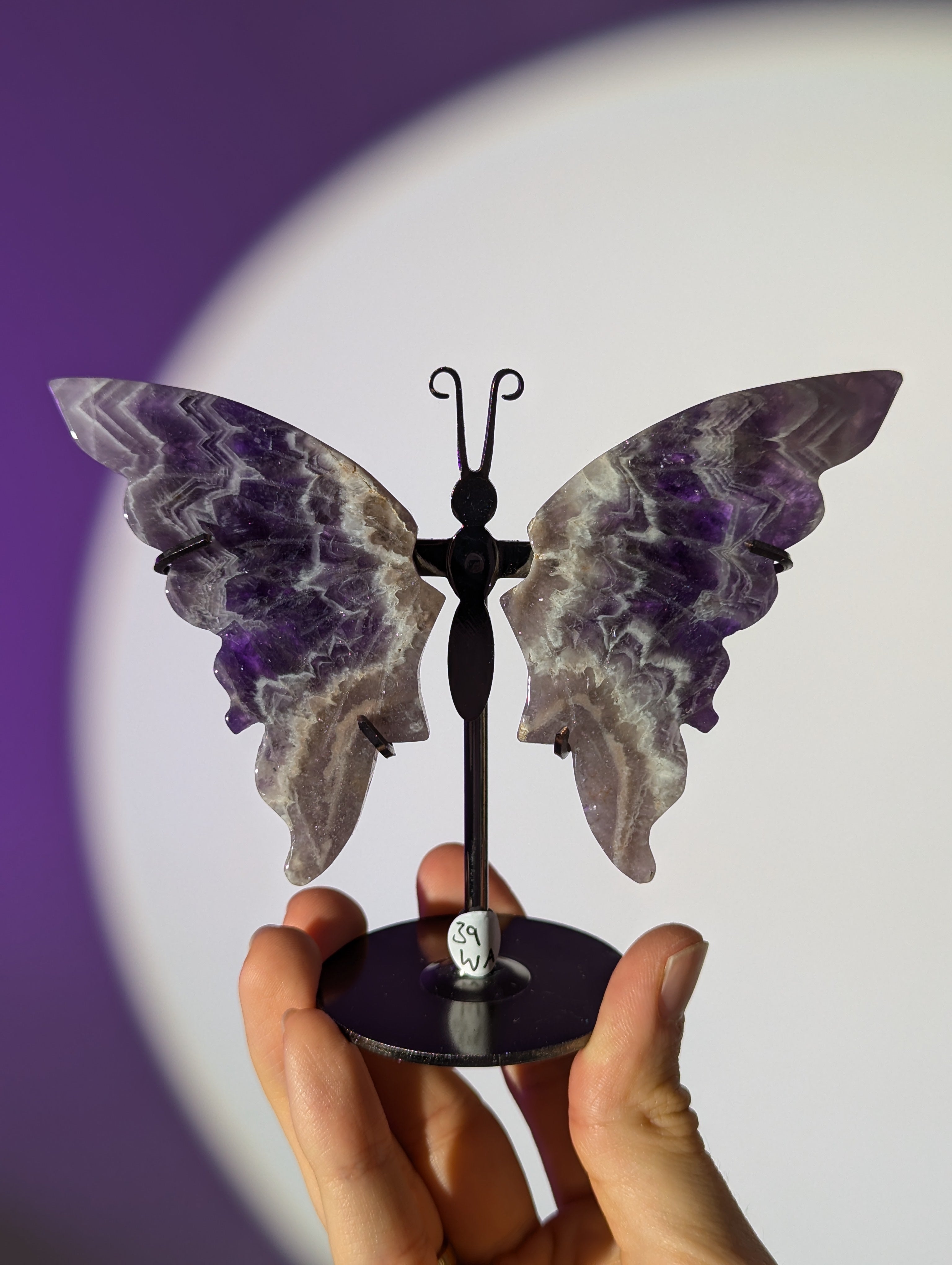 Amethyst Schmetterling ๐ฆ๐