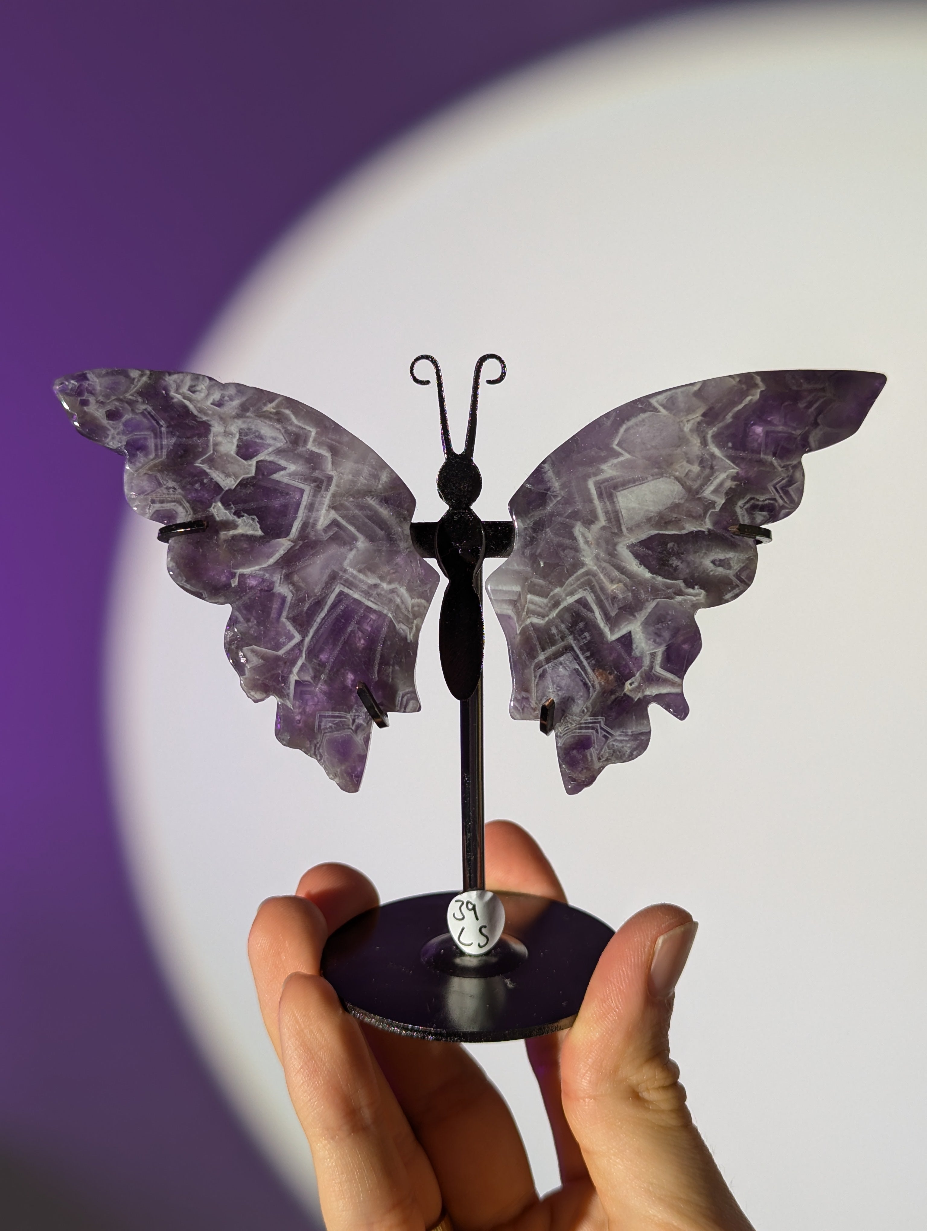 Amethyst Schmetterling ๐ฆ๐