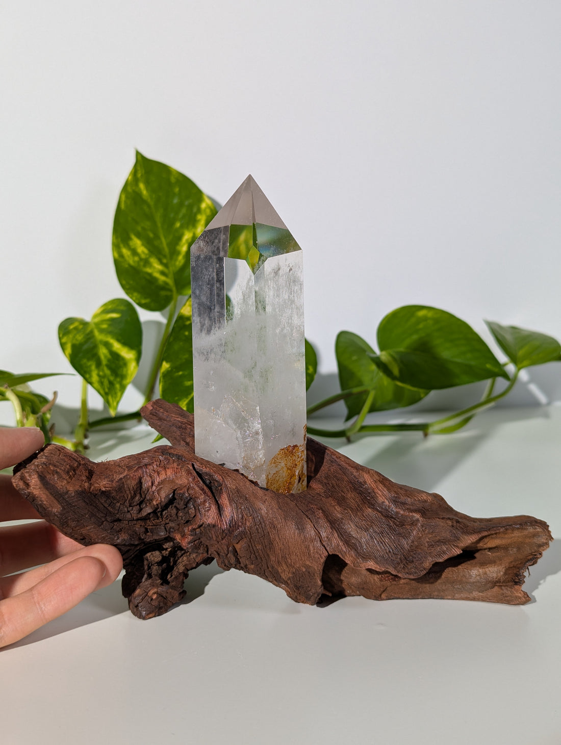 Bergkristall Spitze auf Holzwurzel