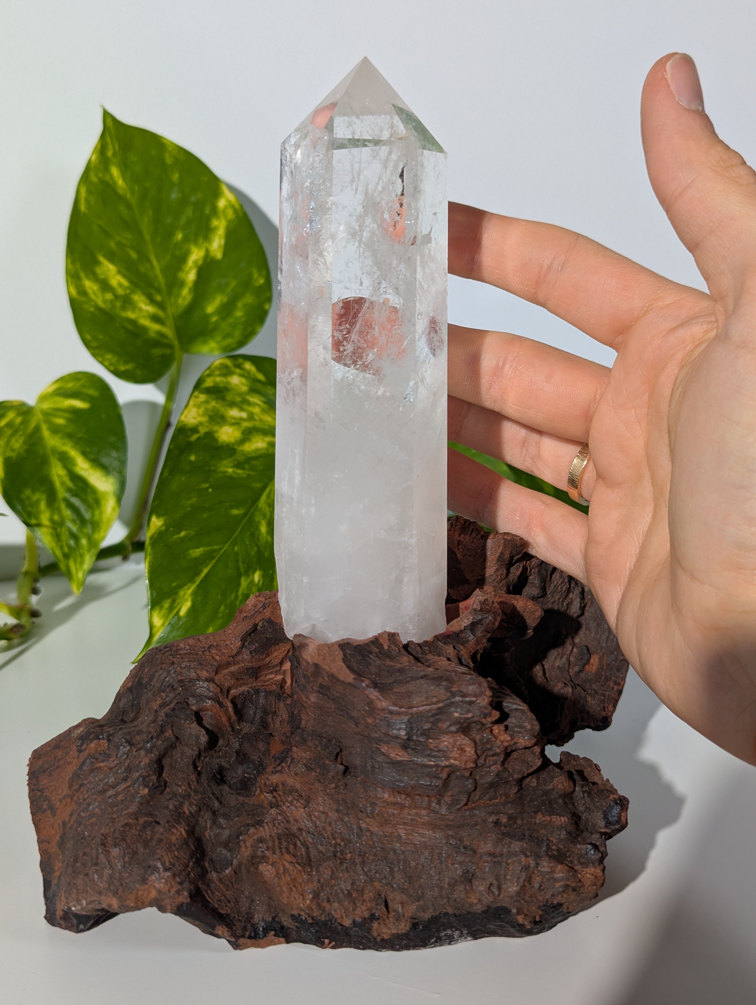 Bergkristall Spitze auf Holzwurzel