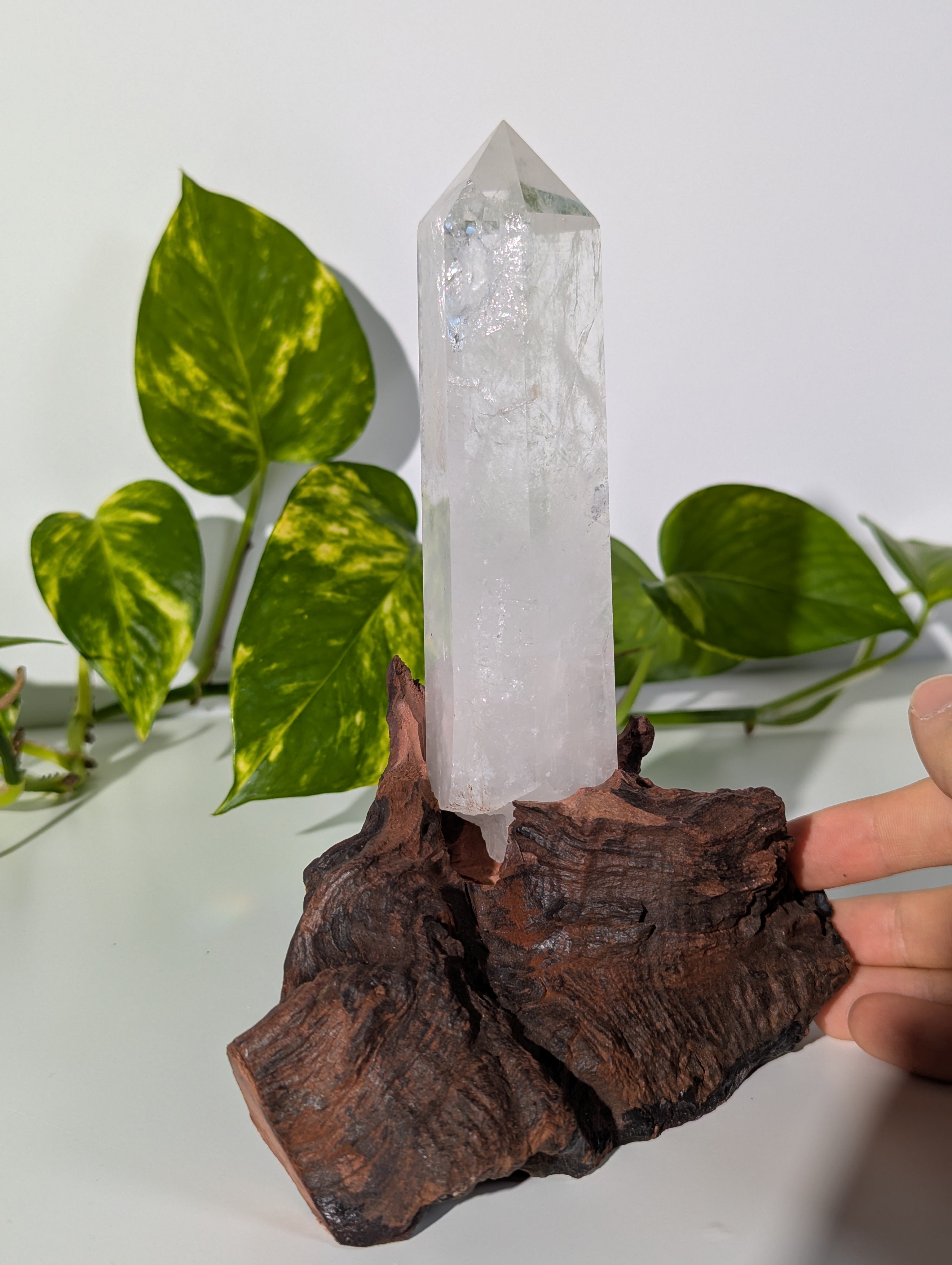 Bergkristall Spitze auf Holzwurzel