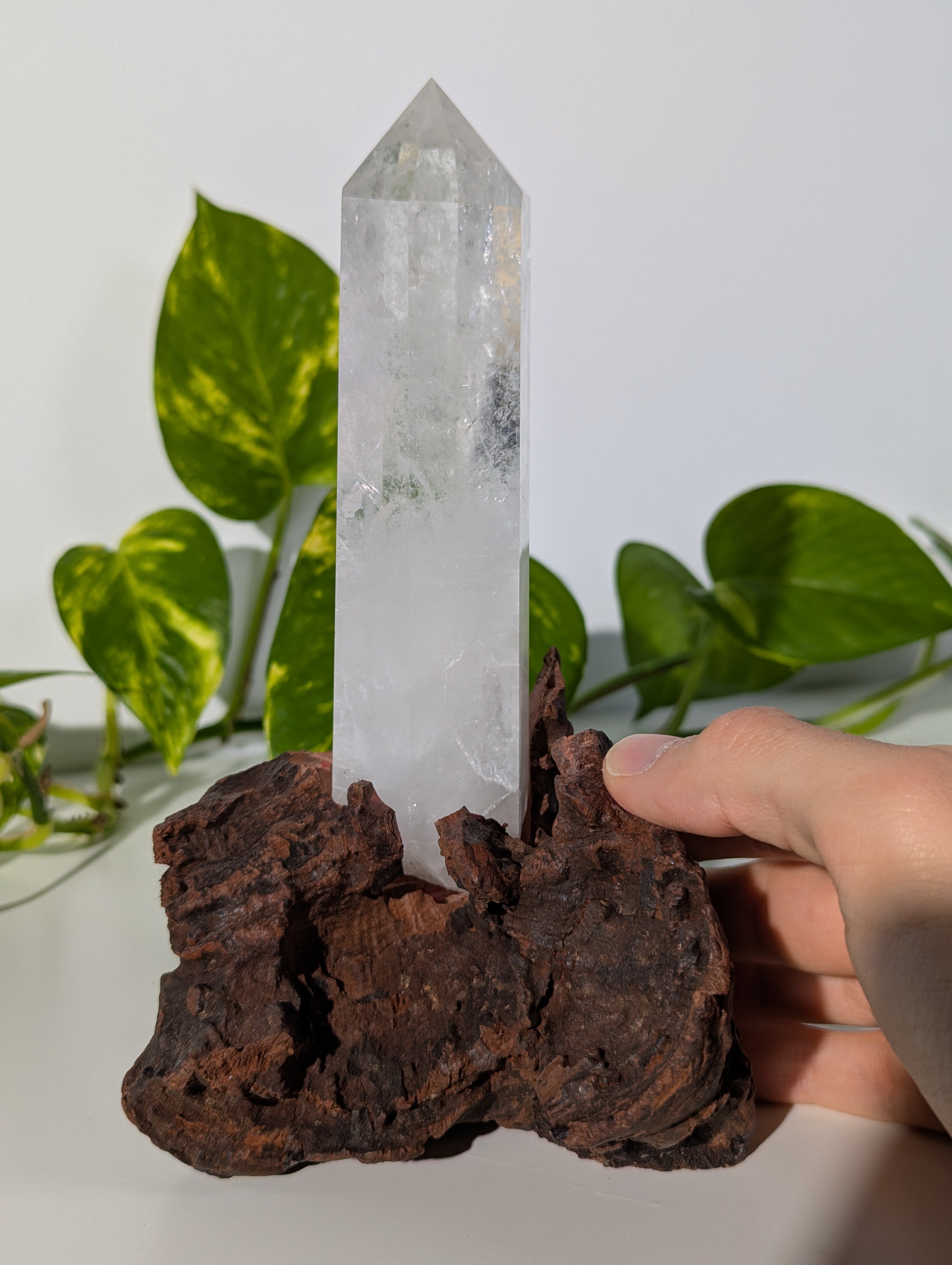 Bergkristall Spitze auf Holzwurzel