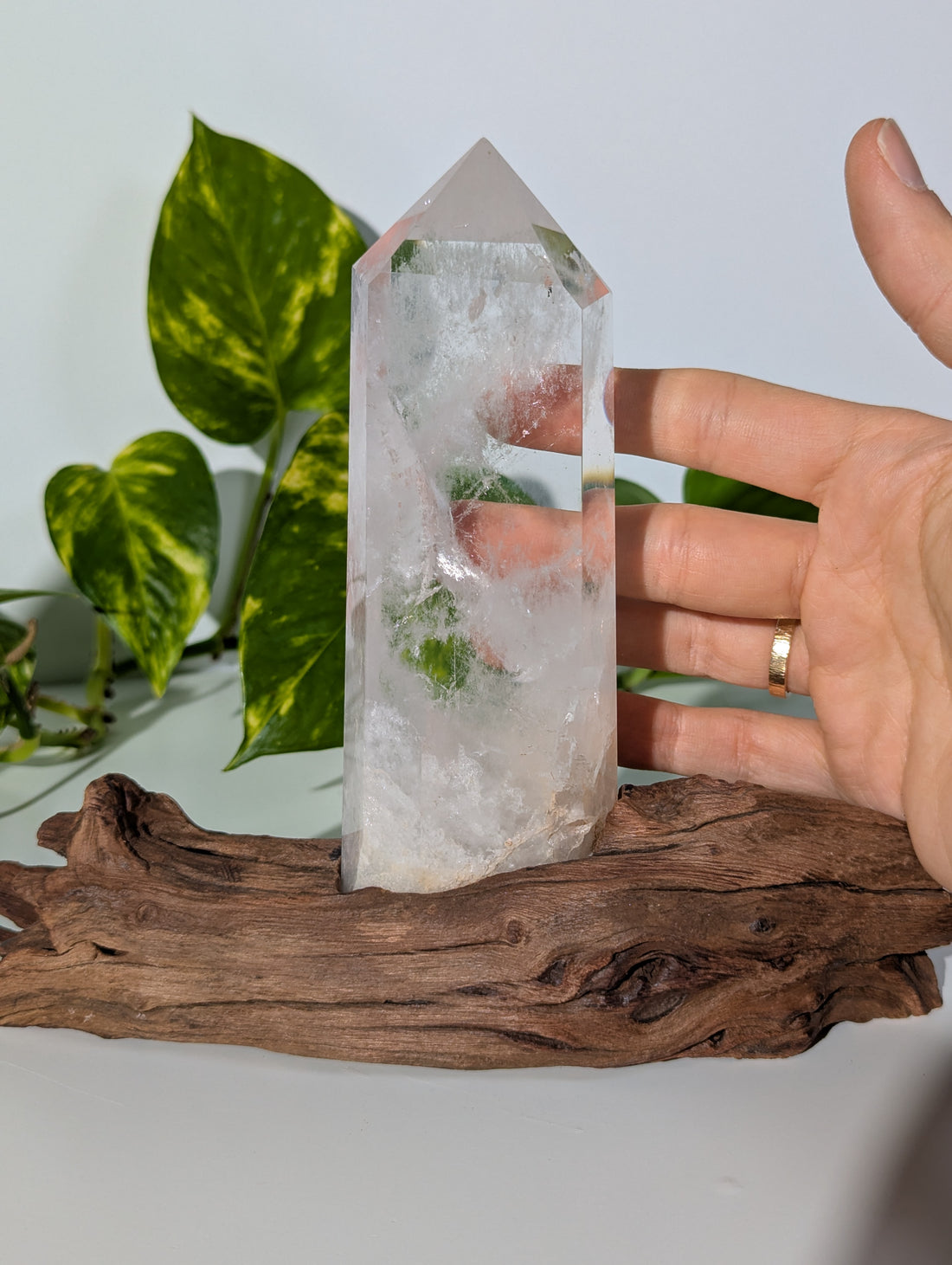 Bergkristall Spitze auf Holzwurzel