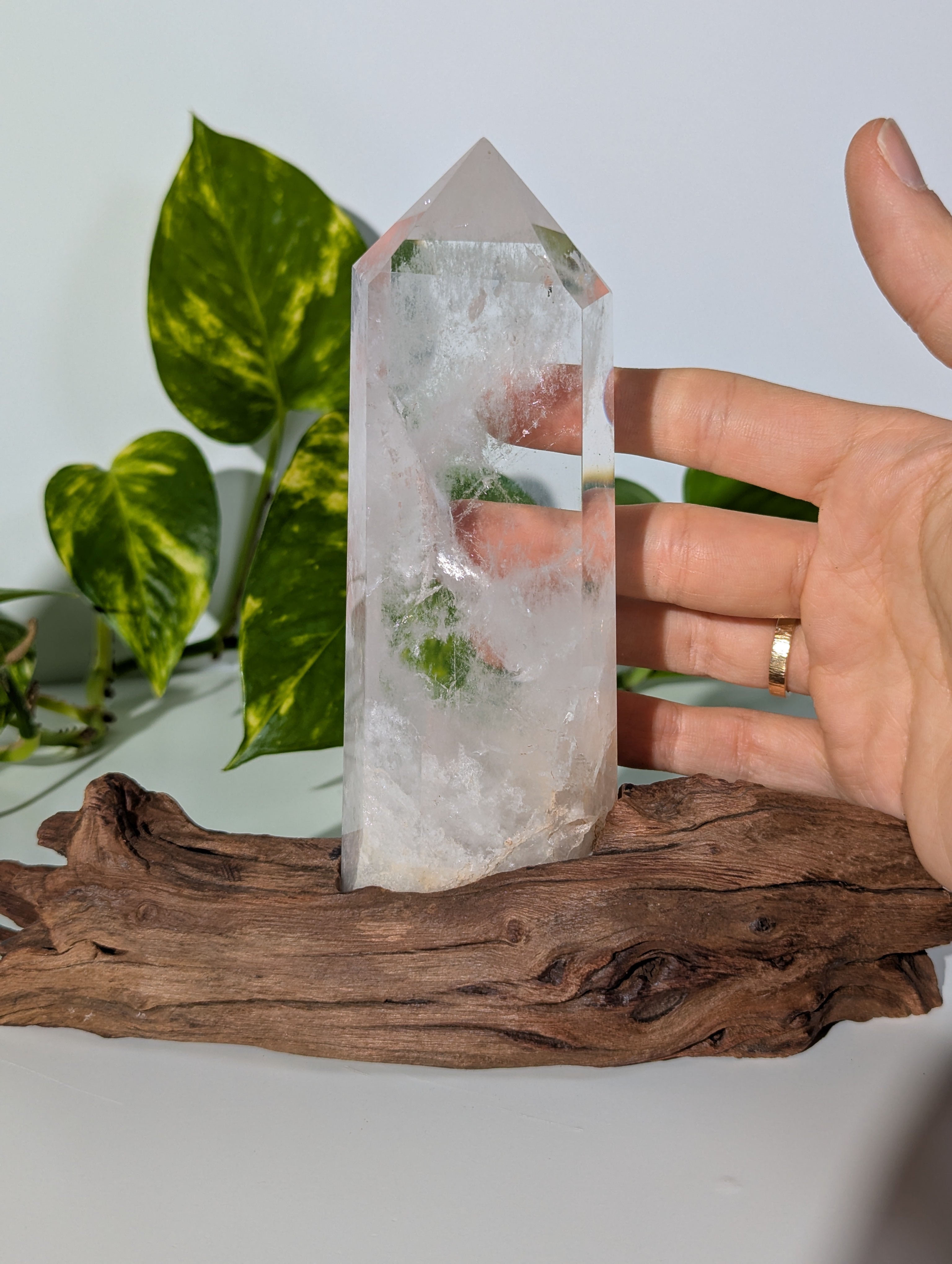 Bergkristall Spitze auf Holzwurzel