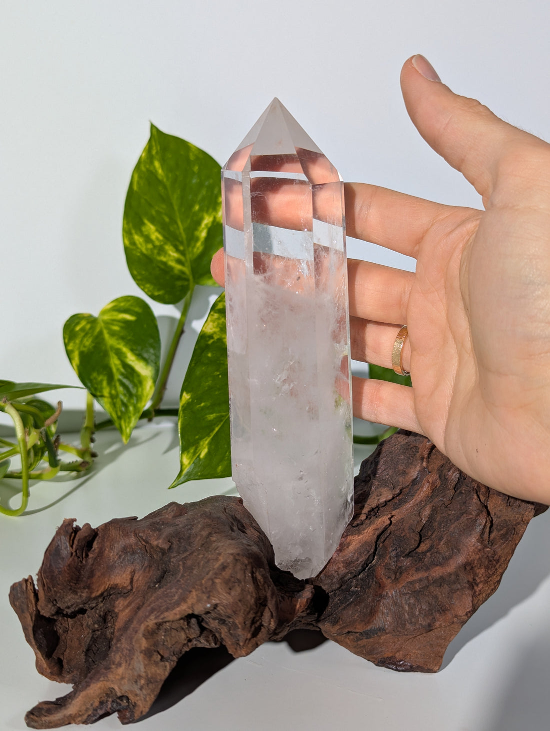 Bergkristall Spitze auf Holzwurzel