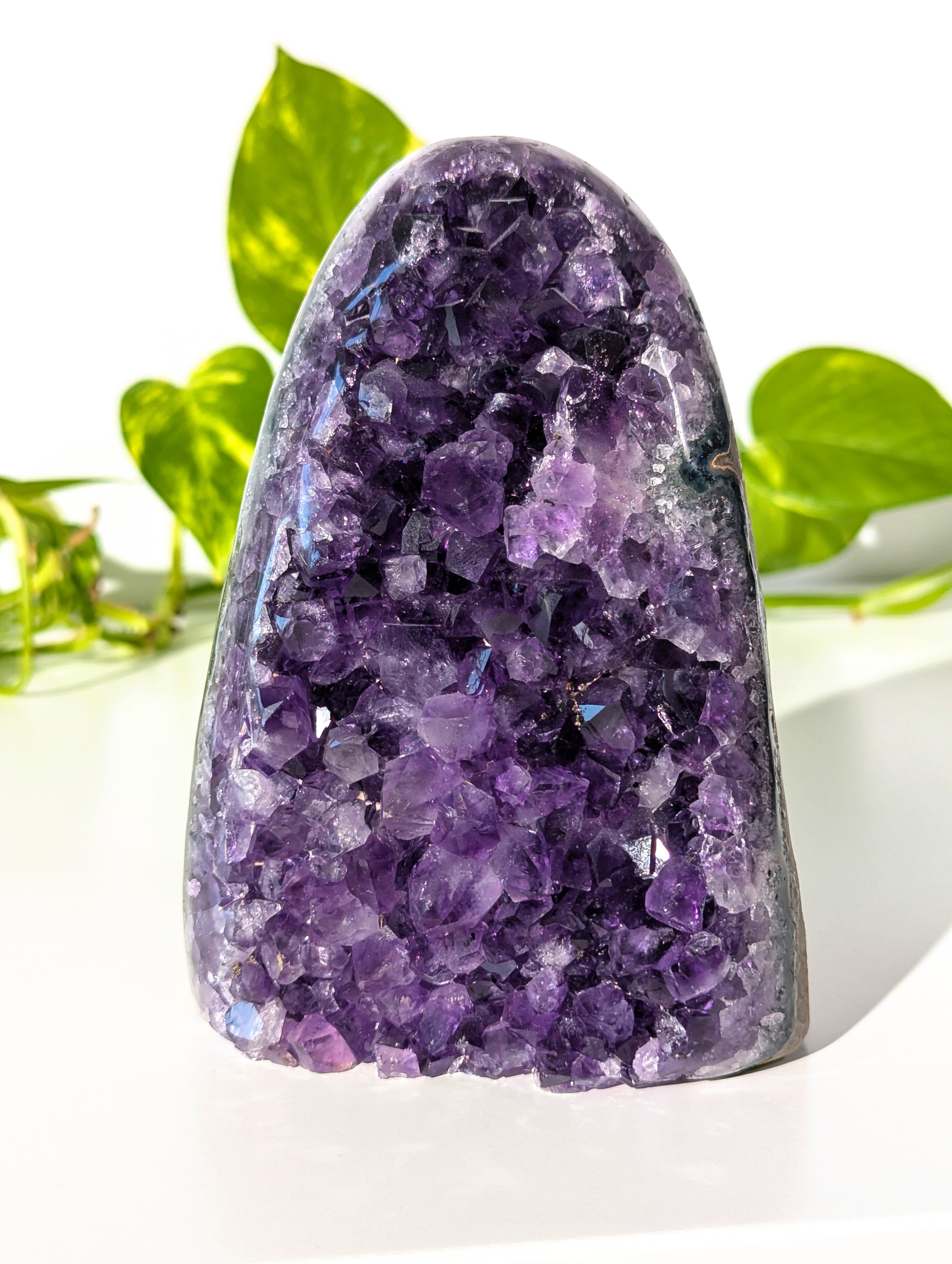 Amethyst Druse AA-Qualität aus Uruguay