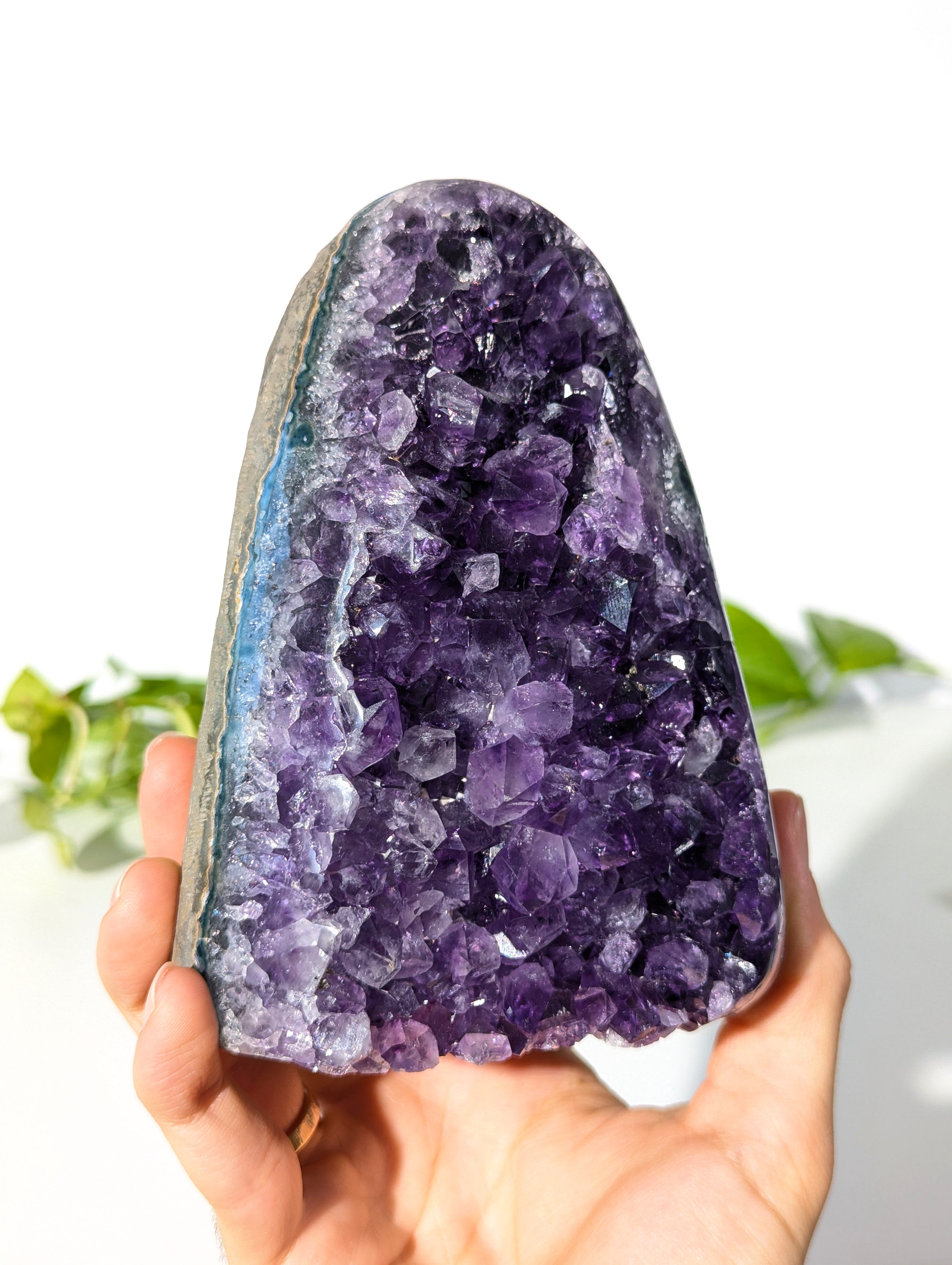 Amethyst Druse AA-Qualität aus Uruguay