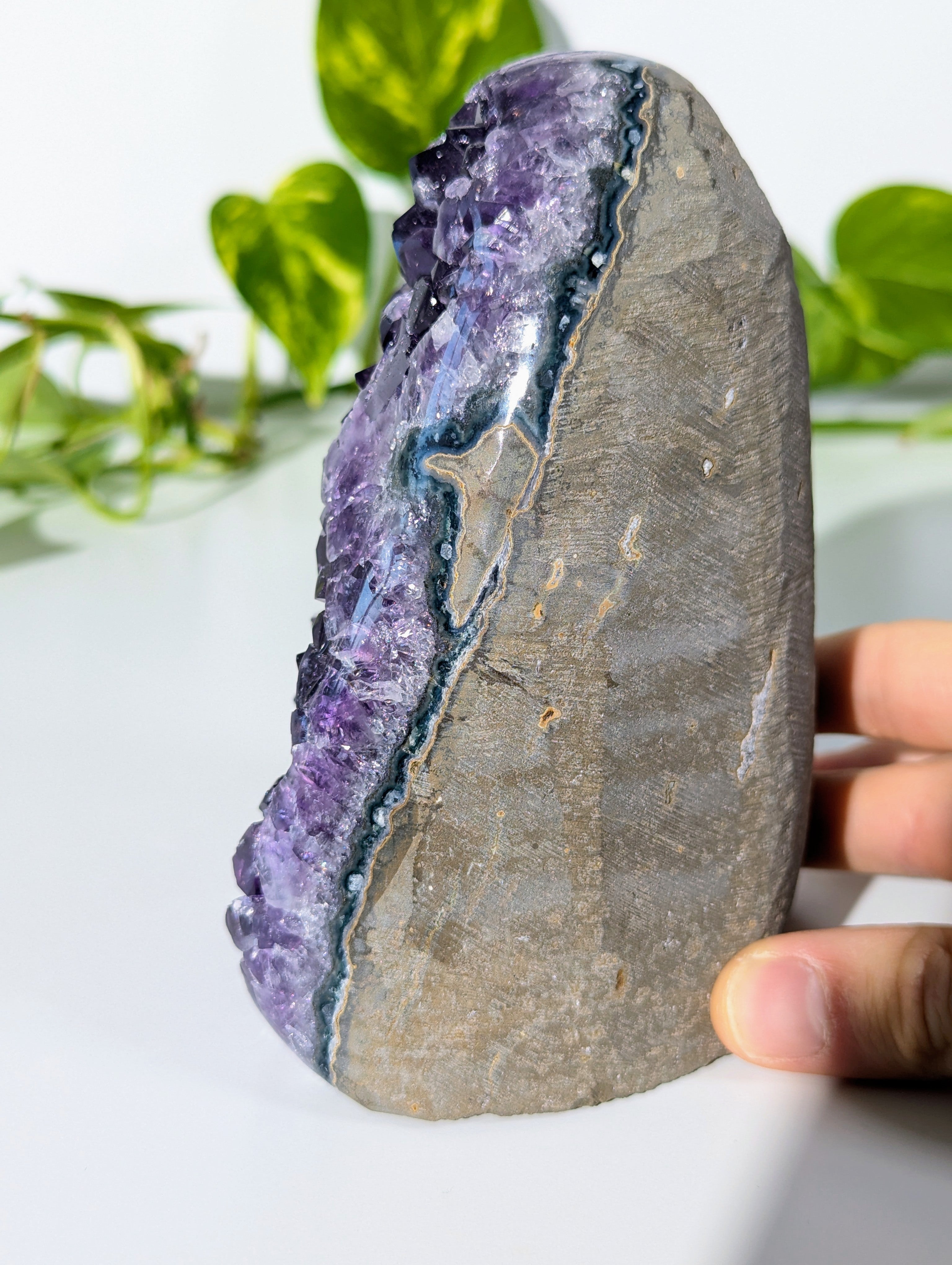 Amethyst Druse AA-Qualität aus Uruguay