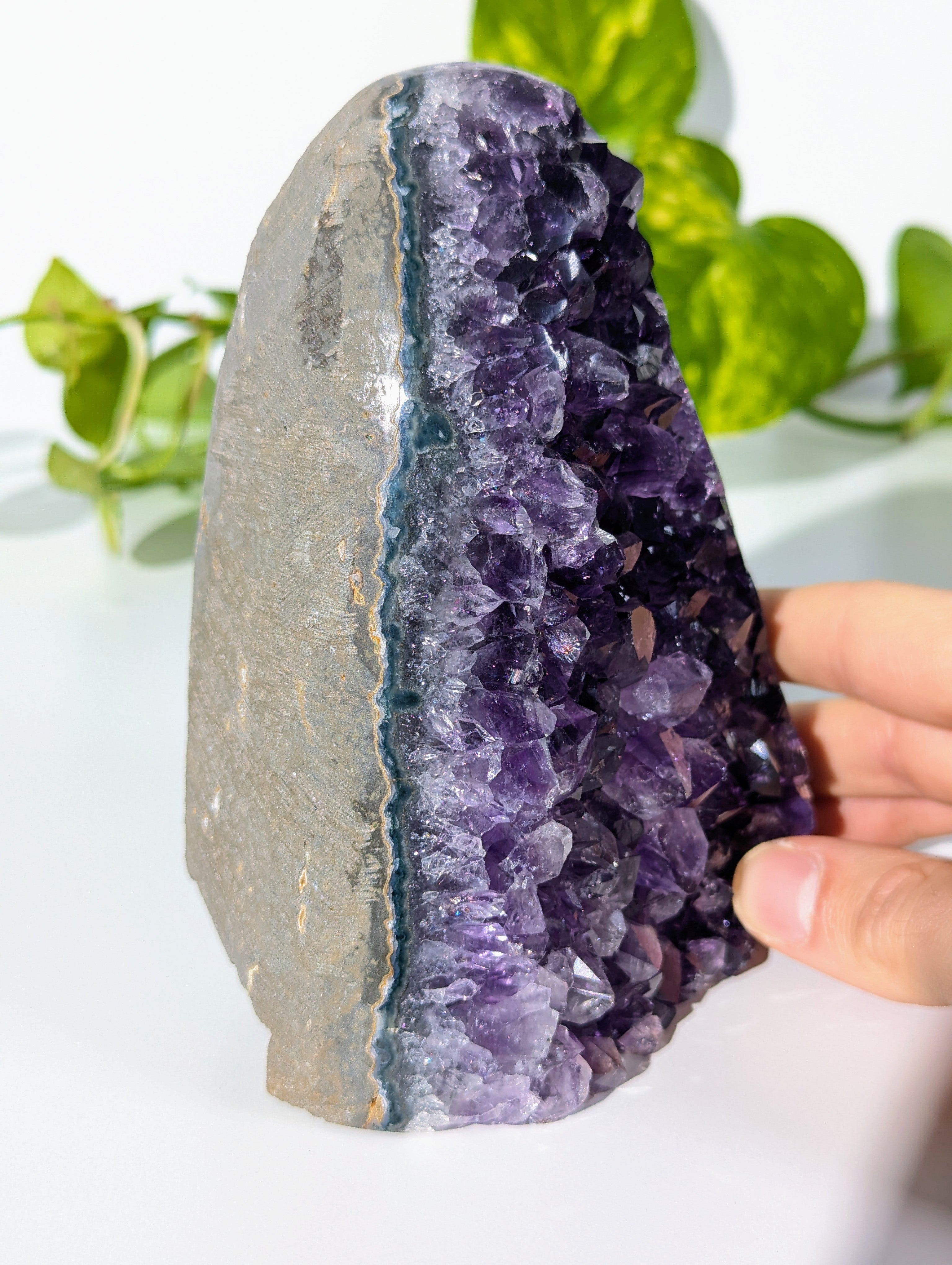 Amethyst Druse AA-Qualität aus Uruguay