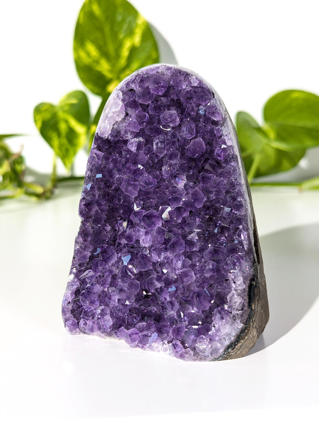 Amethyst Druse A-Qualität aus Uruguay