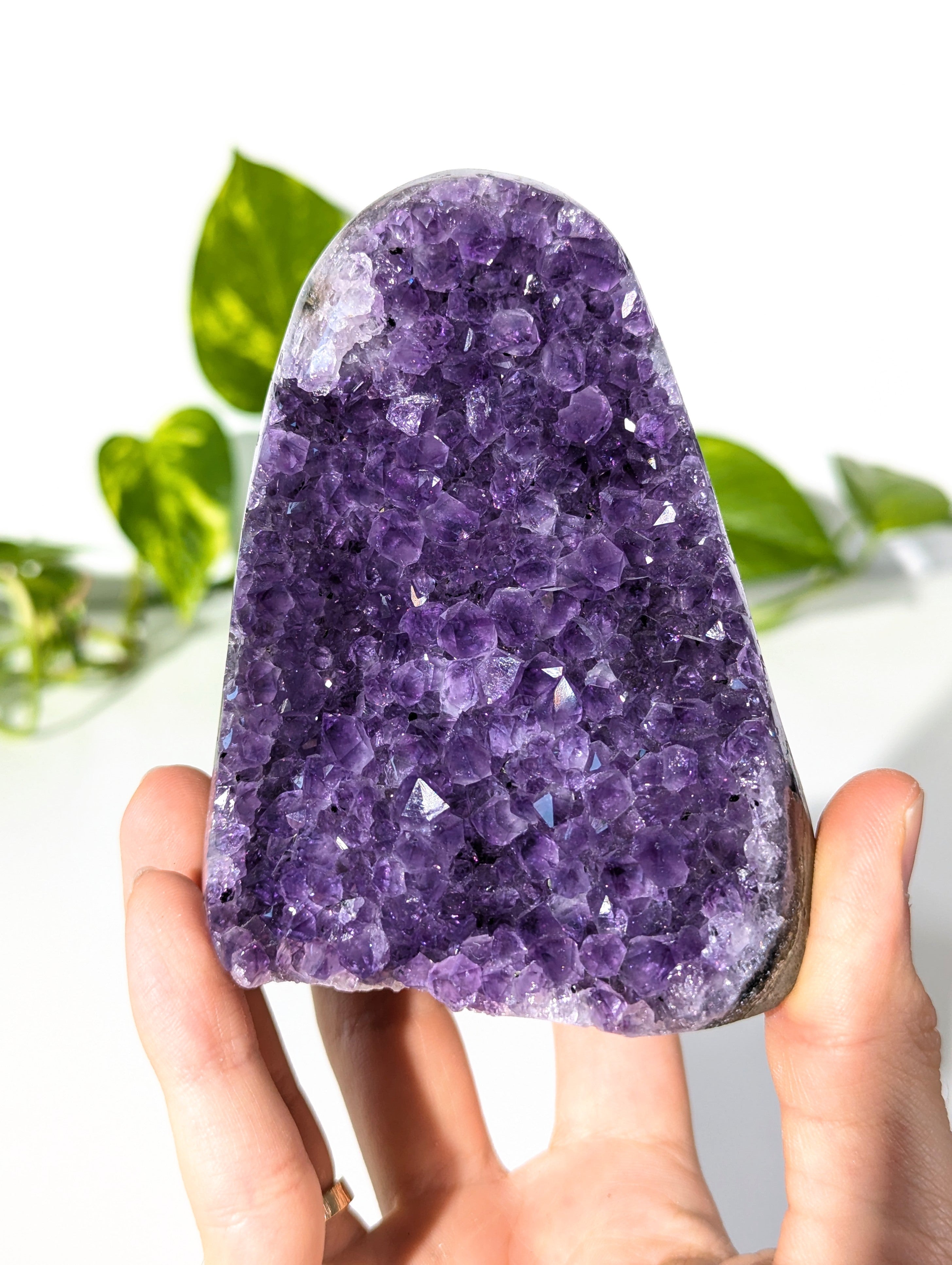 Amethyst Druse A-Qualität aus Uruguay