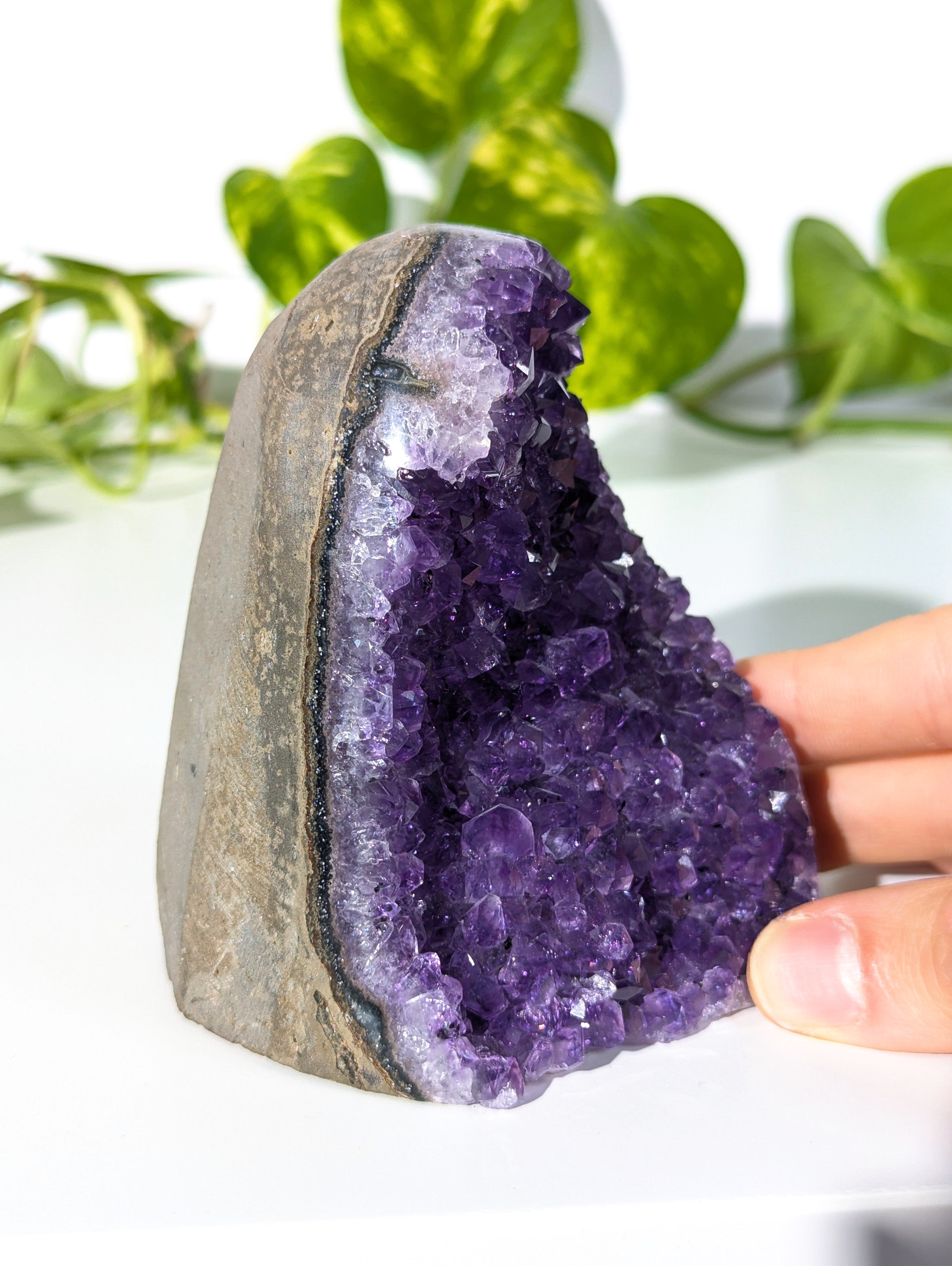Amethyst Druse A-Qualität aus Uruguay