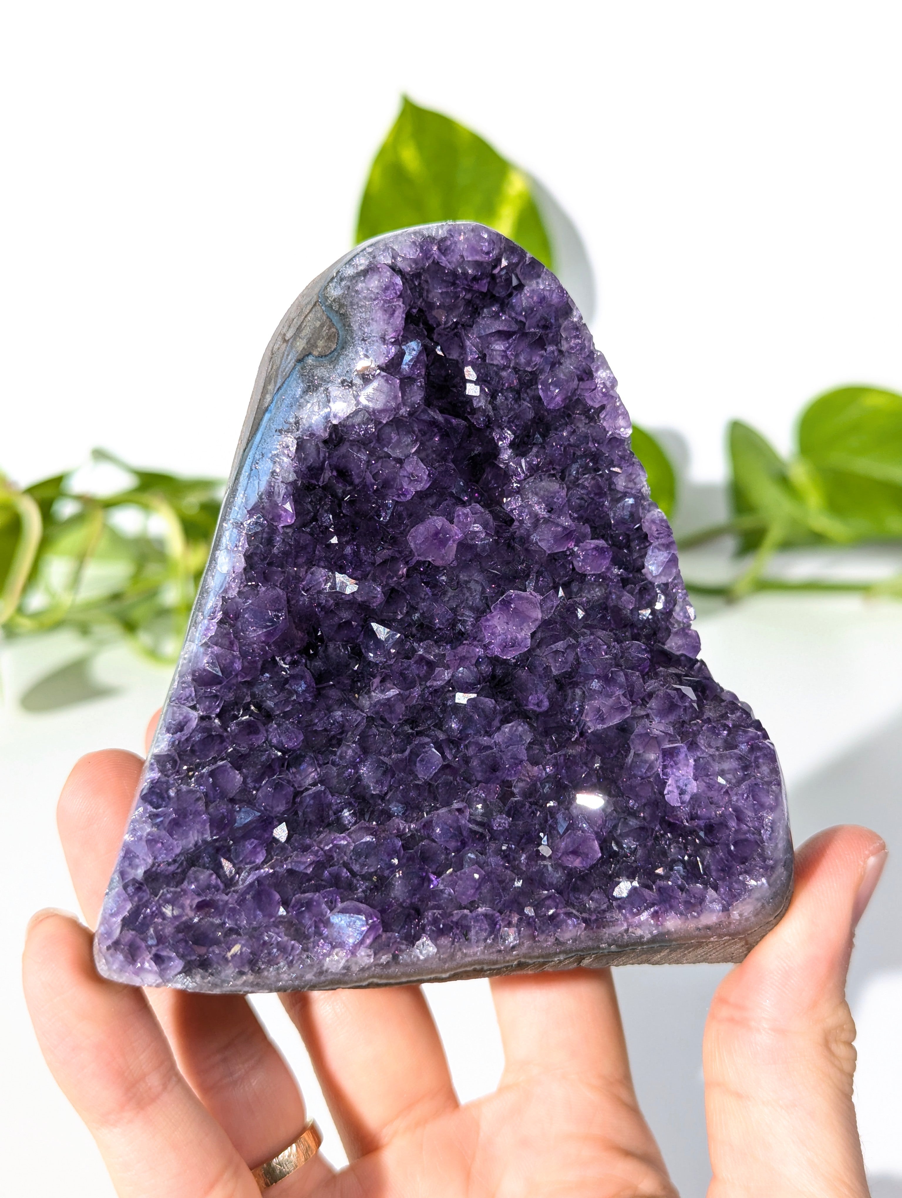 Amethyst Druse A-Qualität aus Uruguay