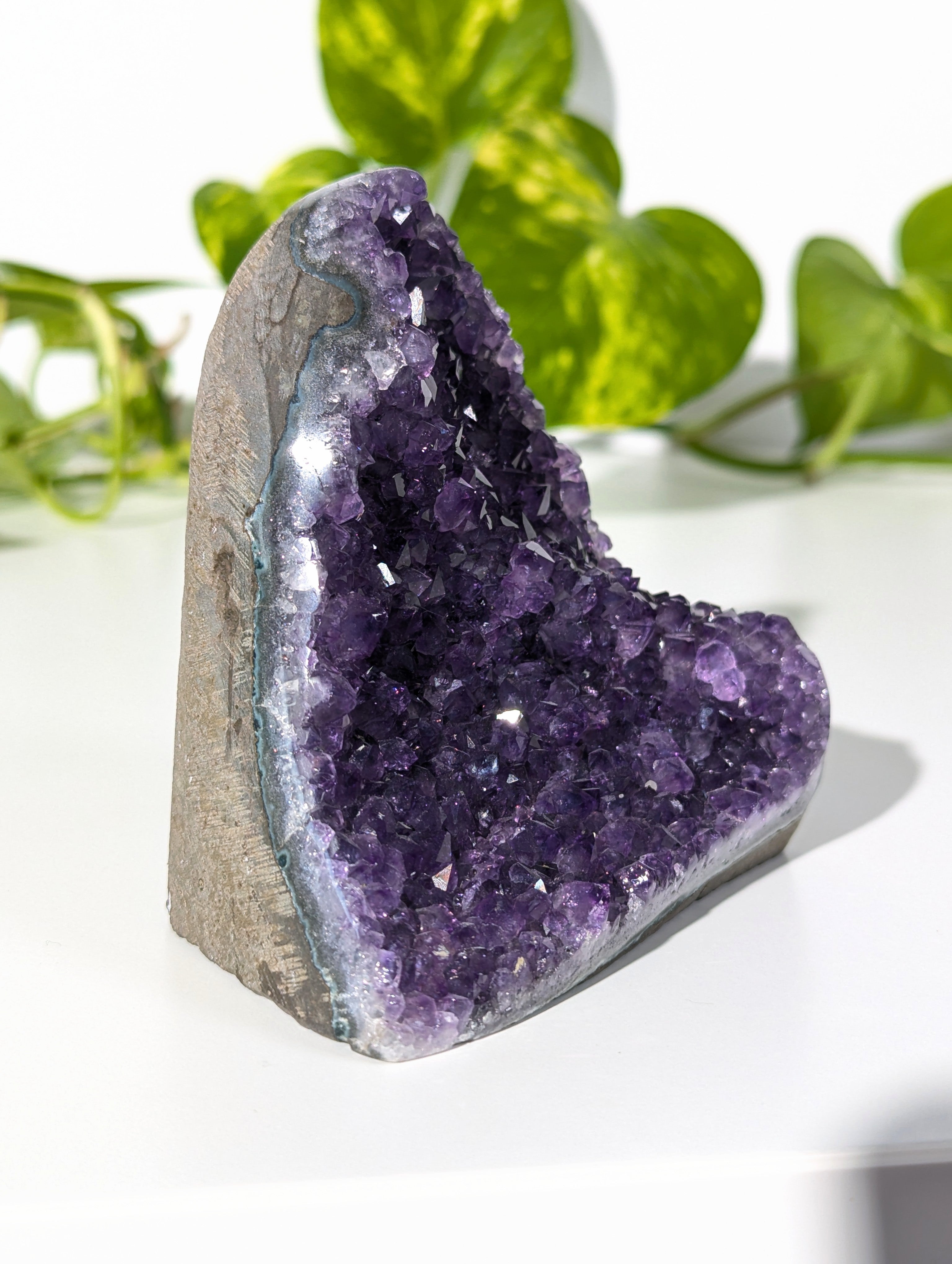Amethyst Druse A-Qualität aus Uruguay