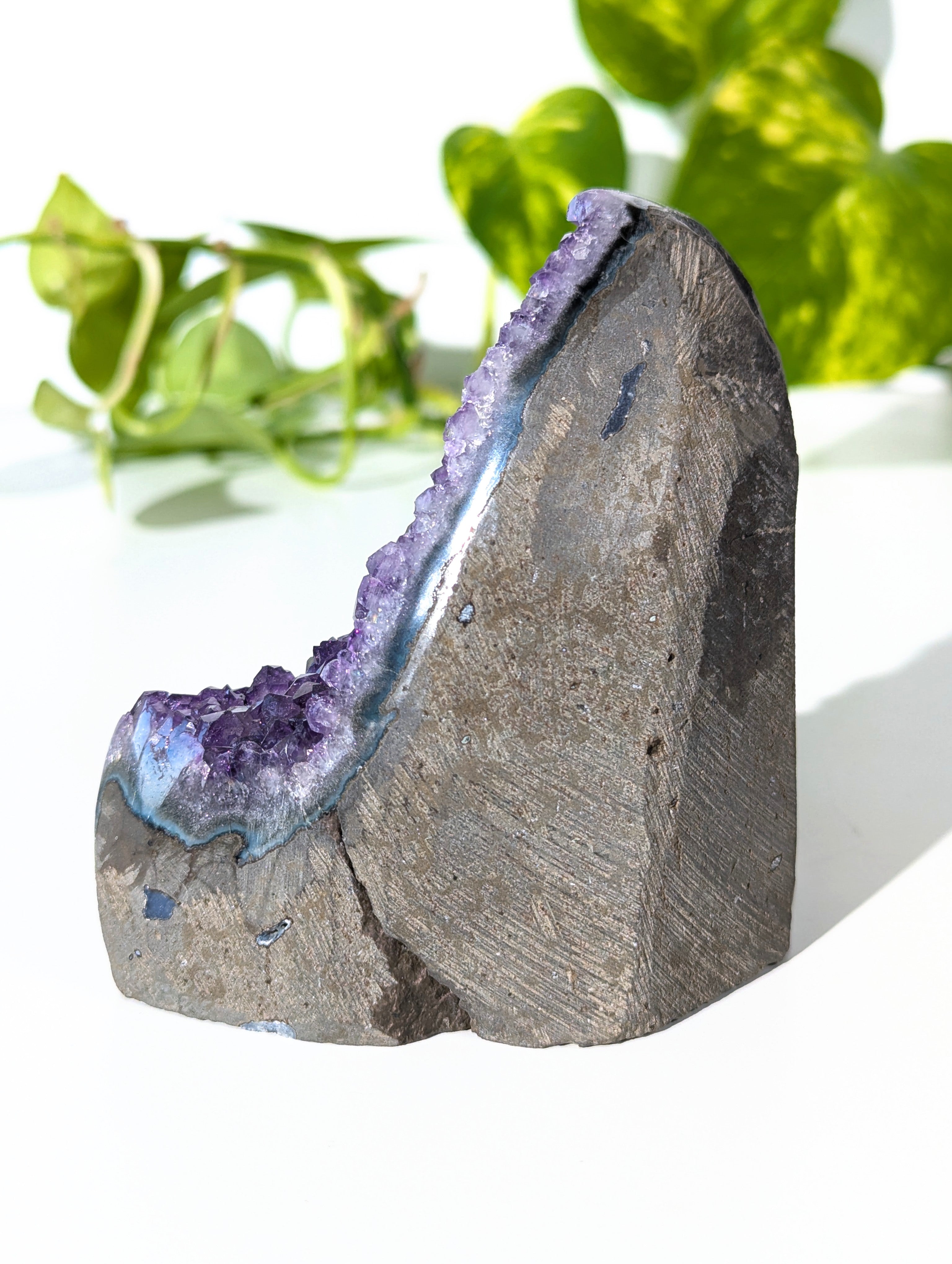 Amethyst Druse A-Qualität aus Uruguay