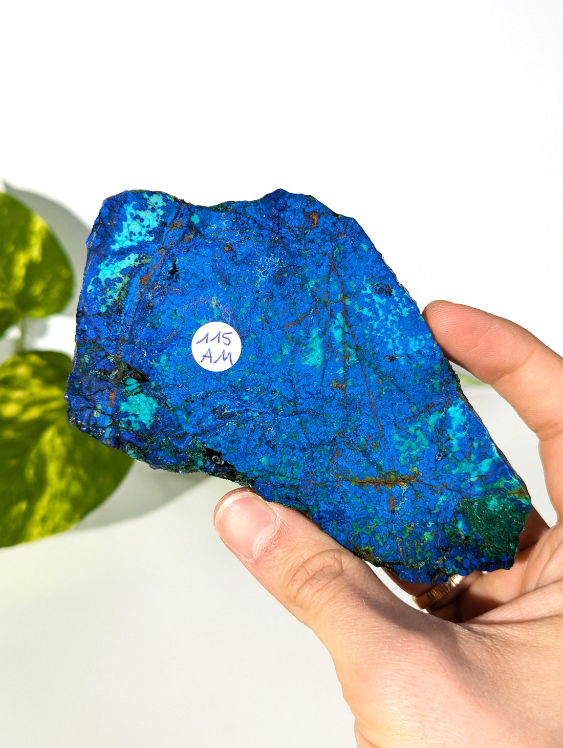 Azurit Platte mit Malachit 🫐