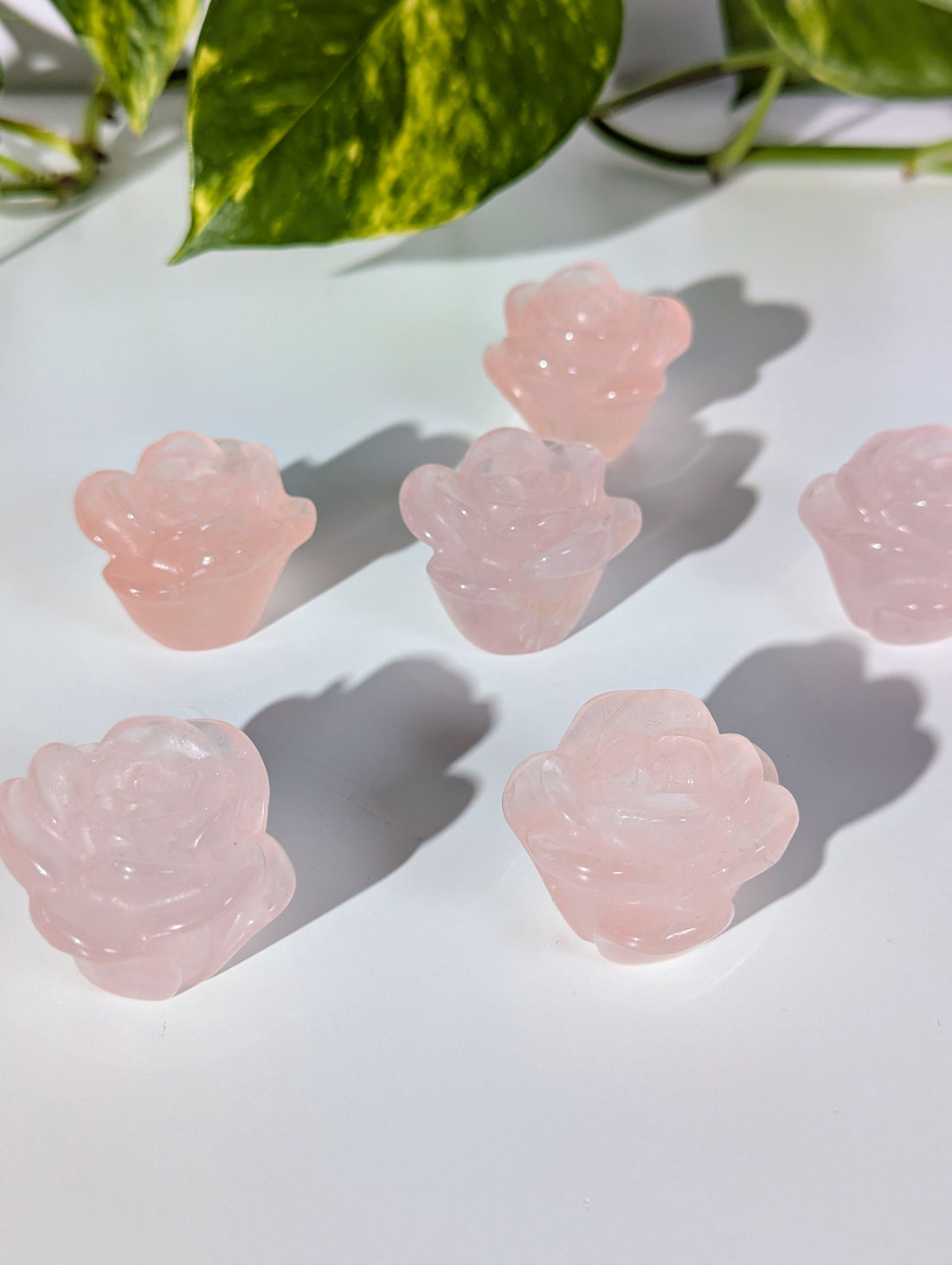 mittlere Rosenquarz Rosen 🌹