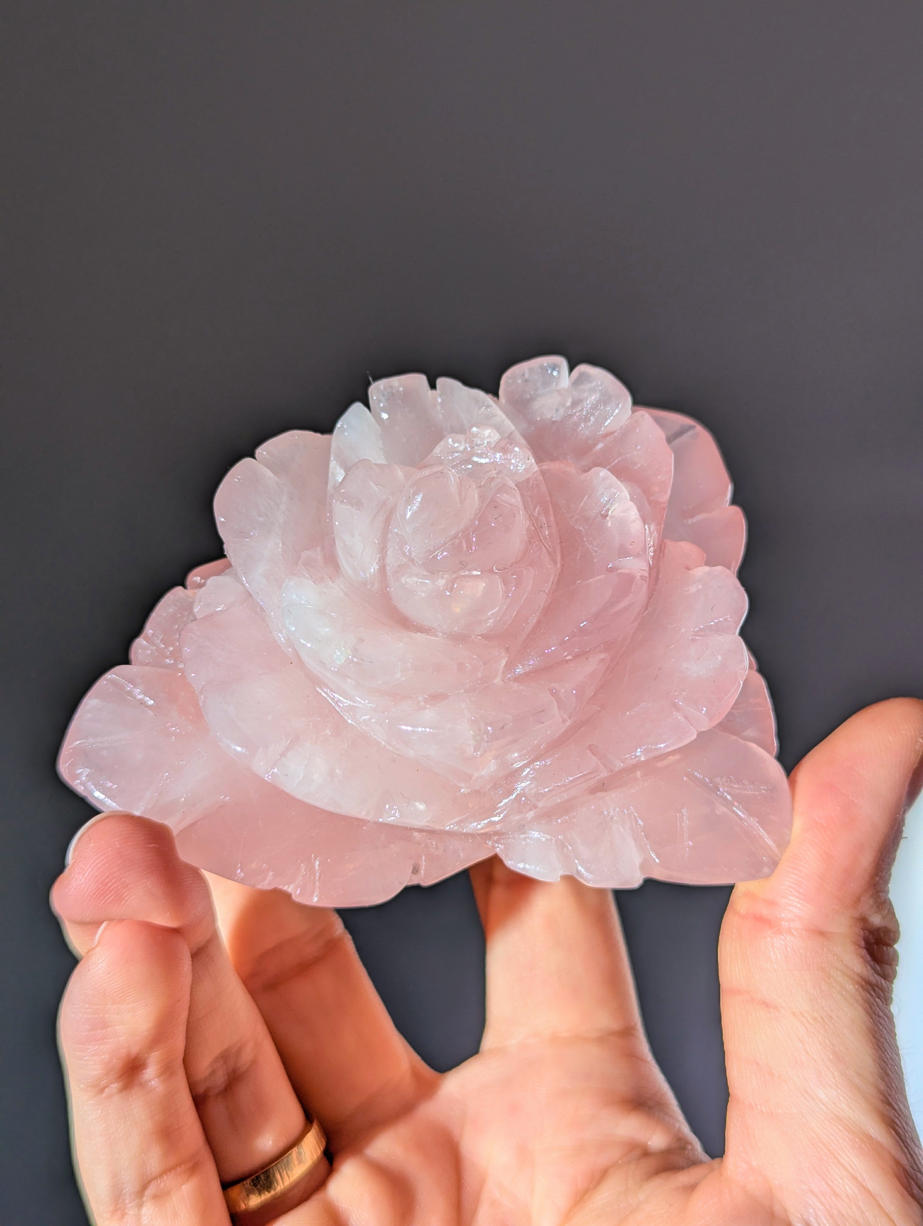 Rosenquarz Blume mit Ständer